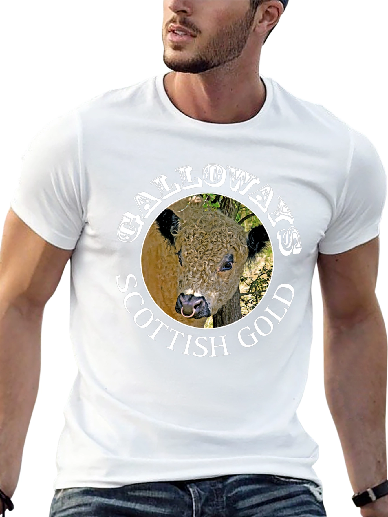 Galloway Scottish Gold Bull Graphic Black T-Shirt