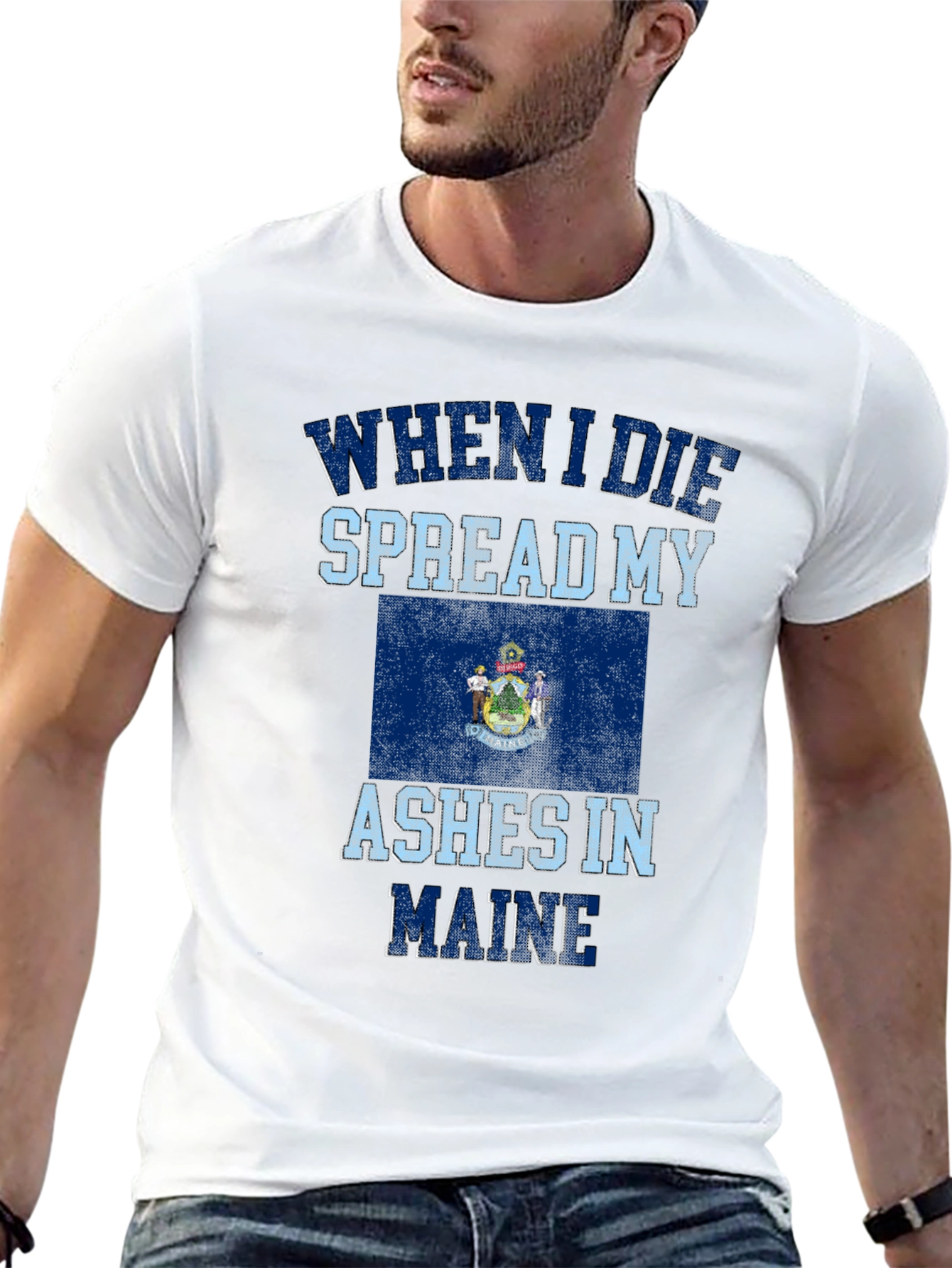 Maine State Flag Novelty Graphic T-Shirt