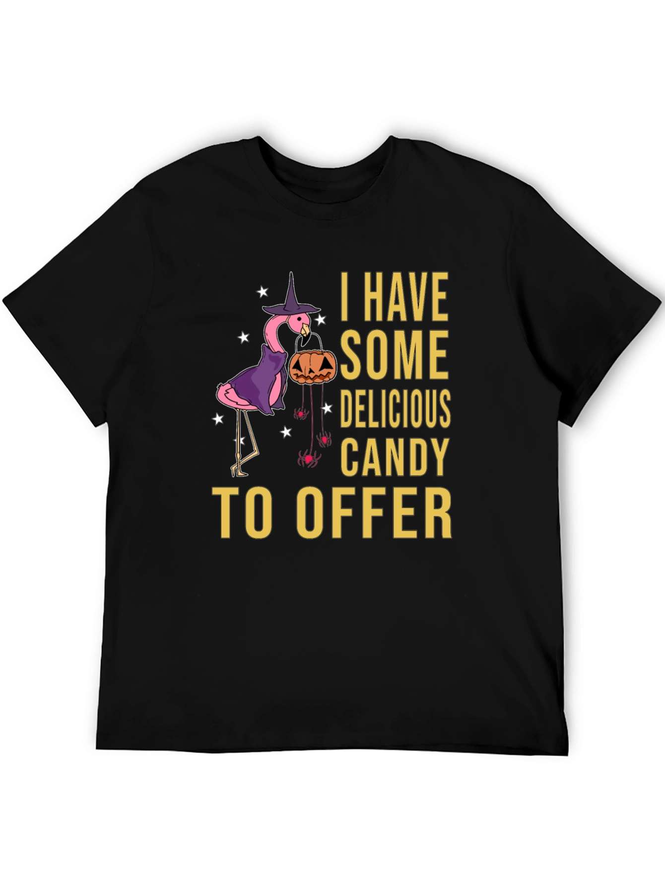 Halloween Flamingo T-Shirt: I Have Candy