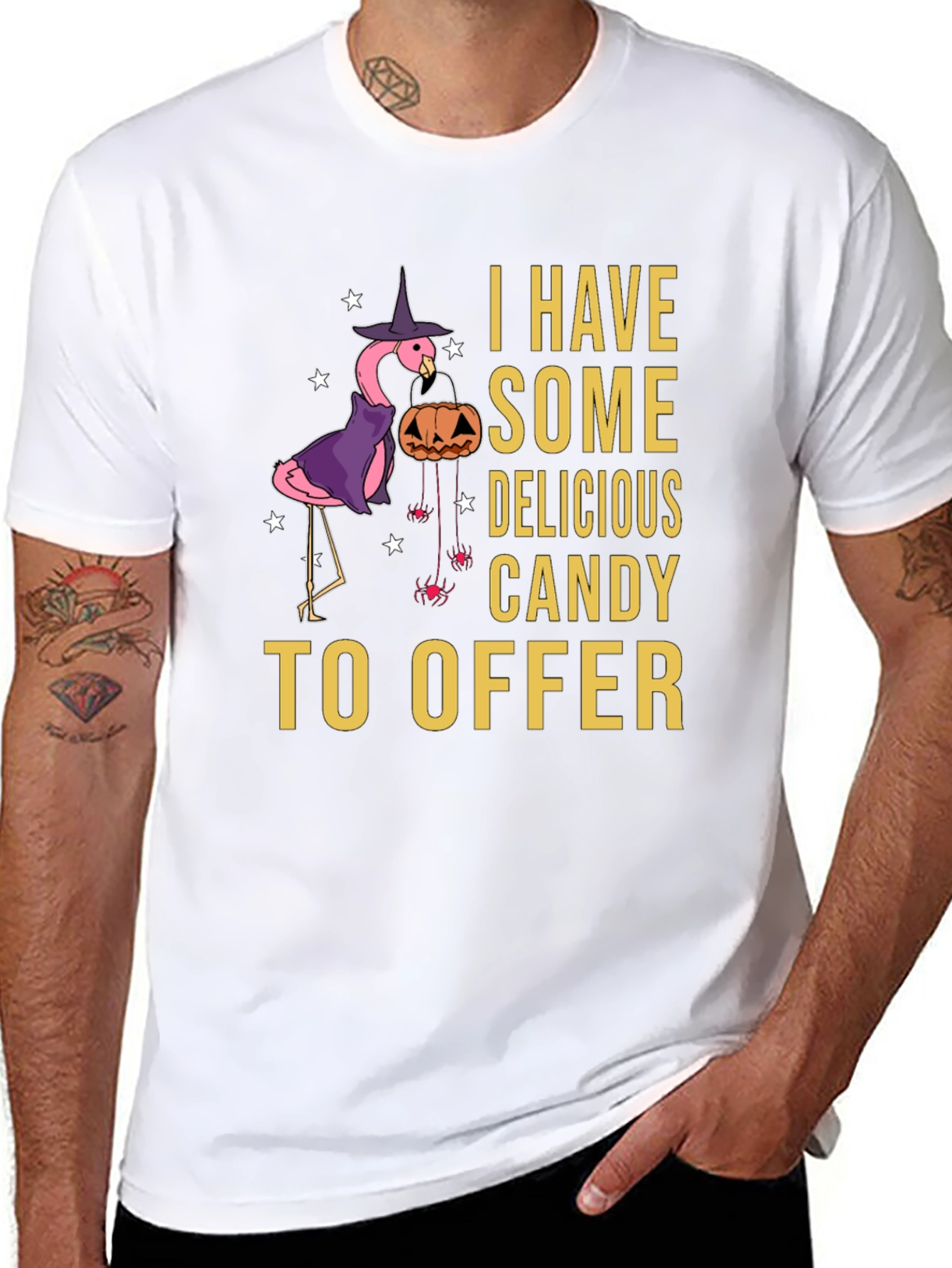 Halloween Flamingo T-Shirt: I Have Candy