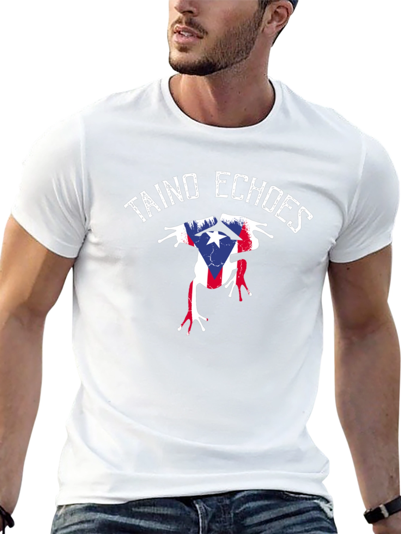 Taino Echoes Puerto Rico Flag Coqui Frog T-Shirt