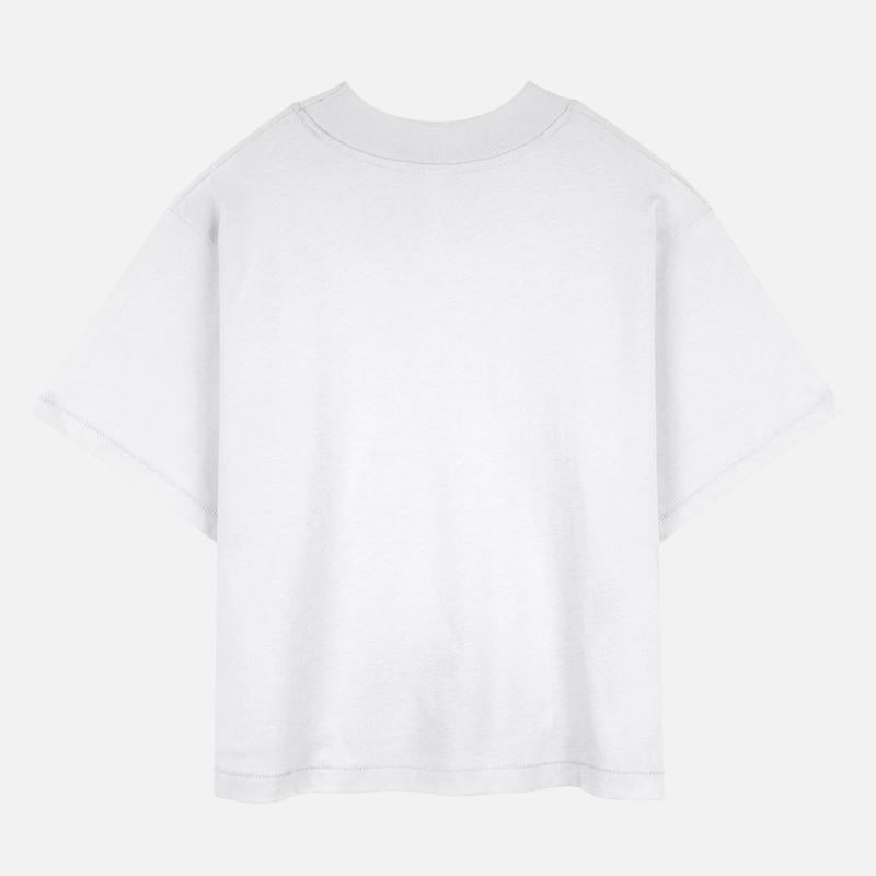 Koi Fish Koi Carp Lovers