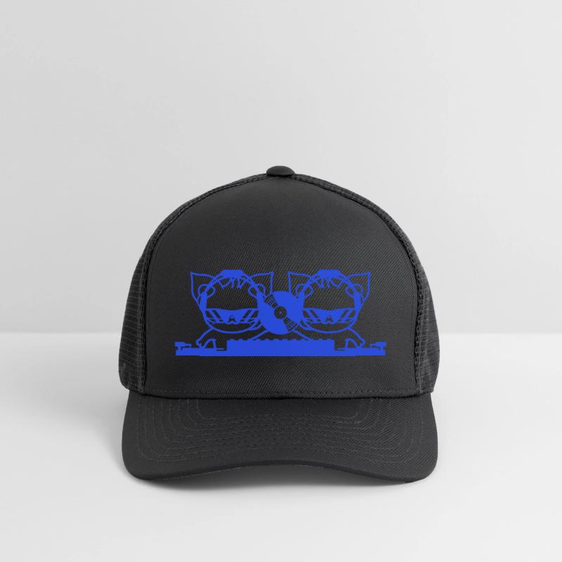 2 DJ Cats Team Kitten Mixing Console Vinyl Record