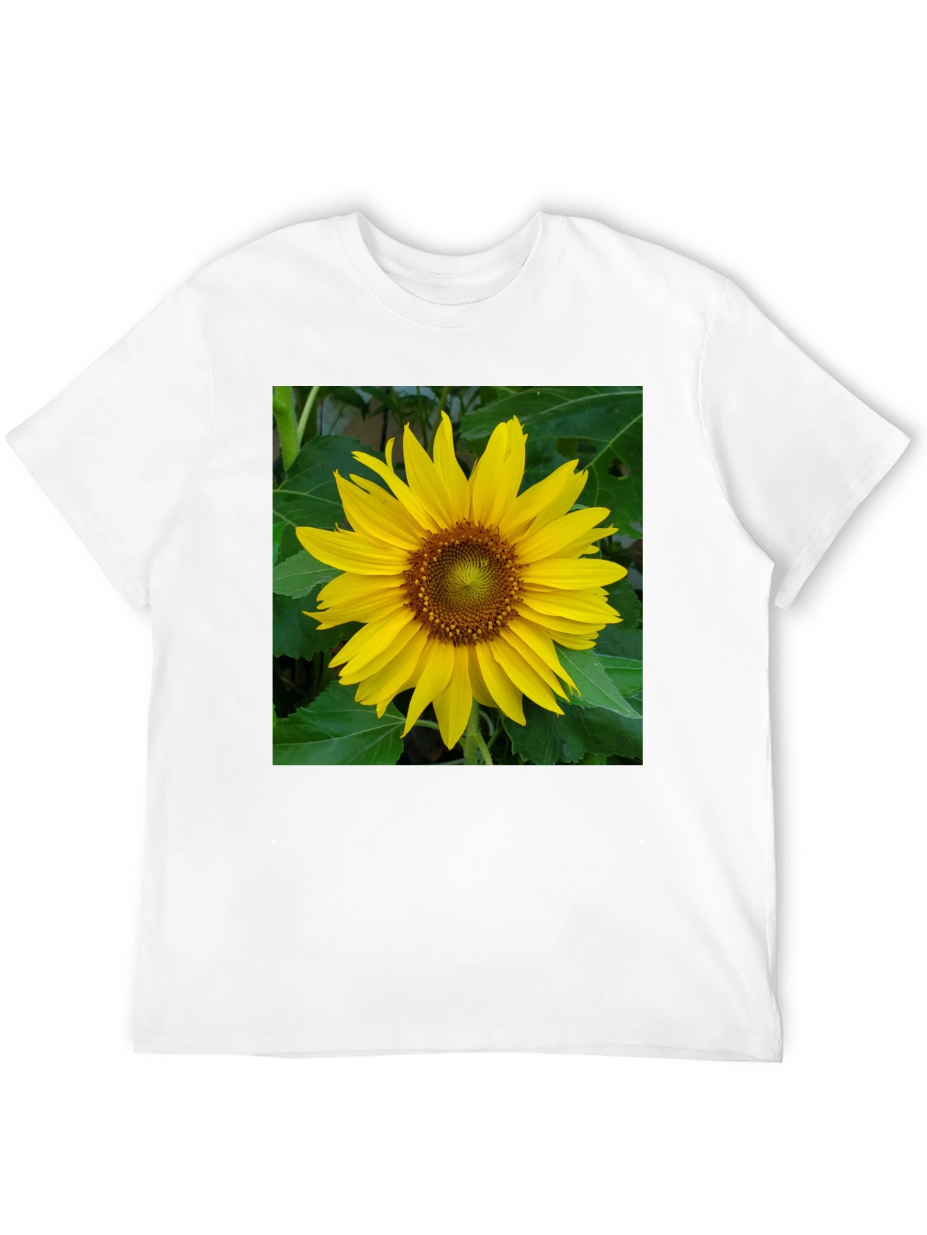 Sunflower Graphic Tee - Black Casual Shirt