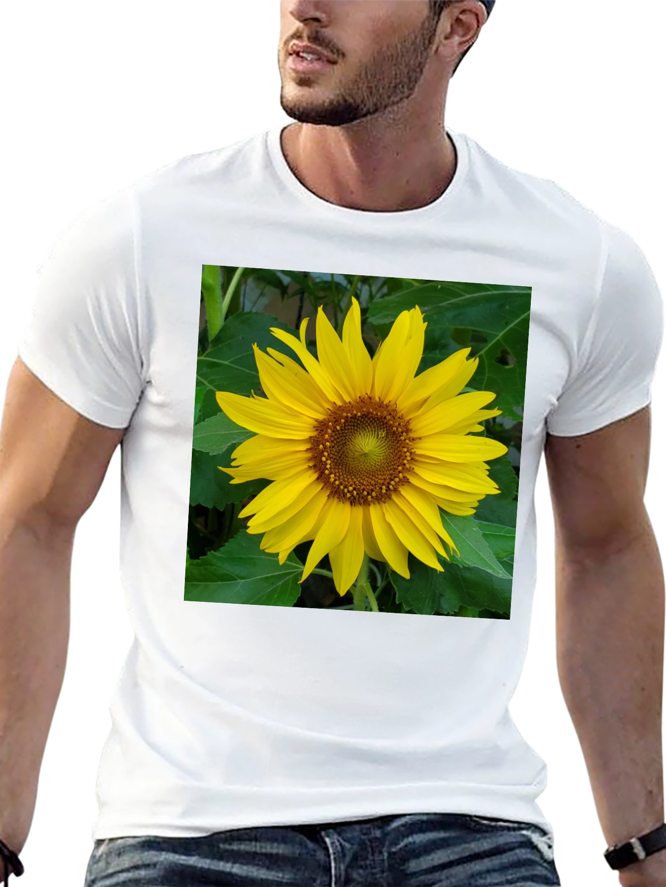 Sunflower Graphic Tee - Black Casual Shirt