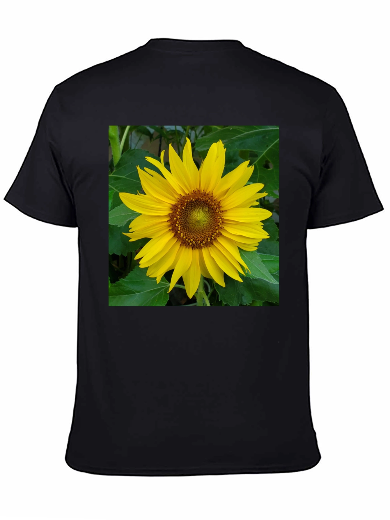 Sunflower Graphic Tee - Black Casual Shirt
