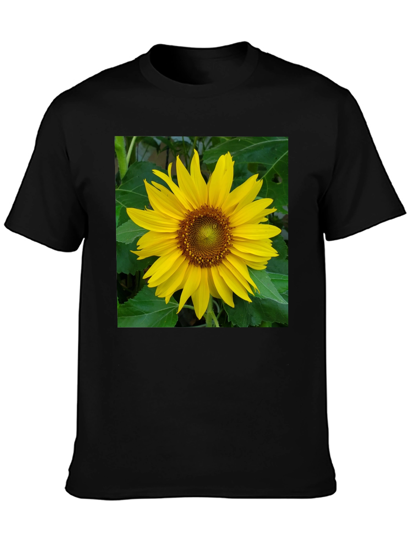 Sunflower Graphic Tee - Black Casual Shirt