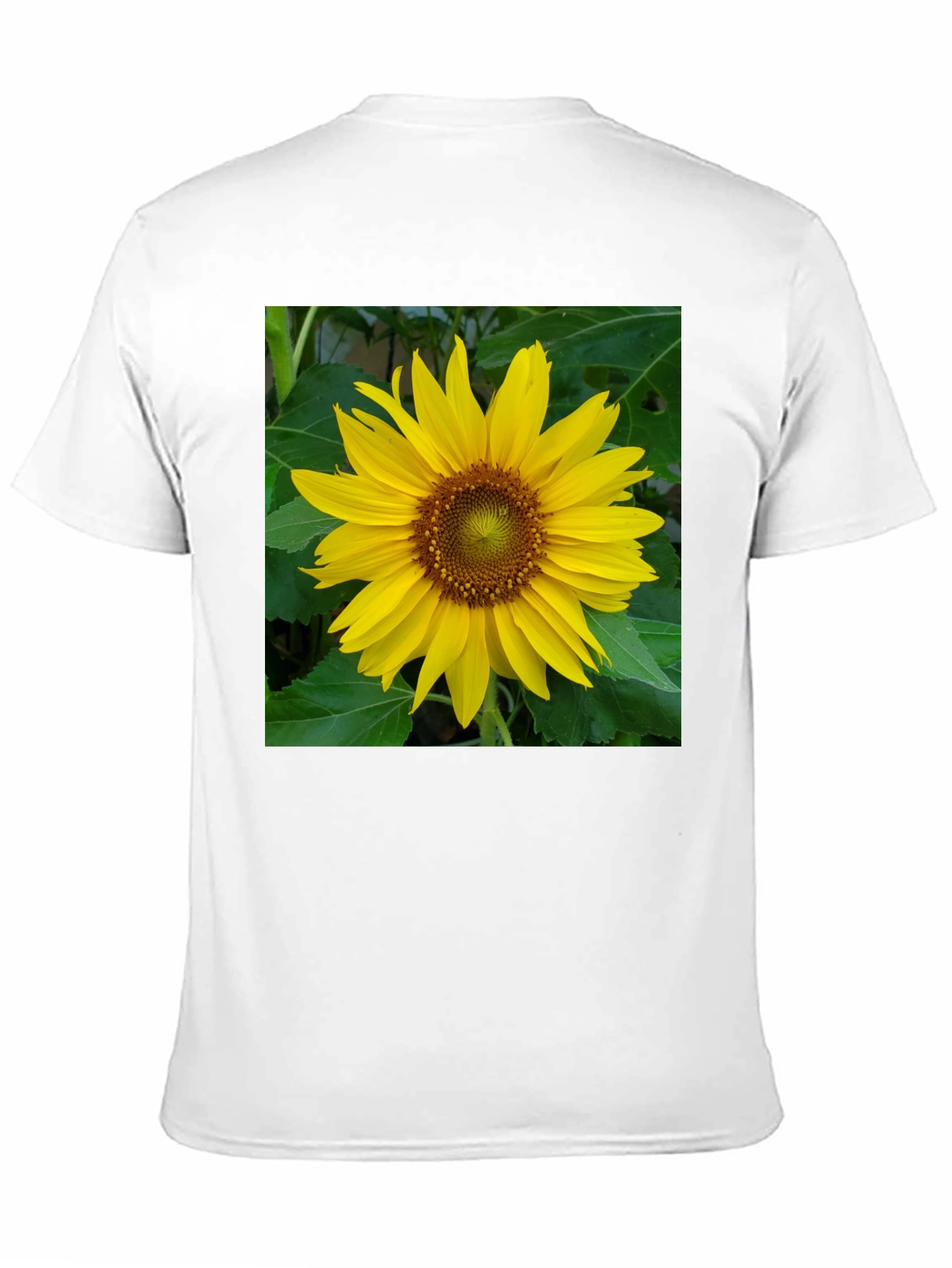 Sunflower Graphic Tee - Black Casual Shirt