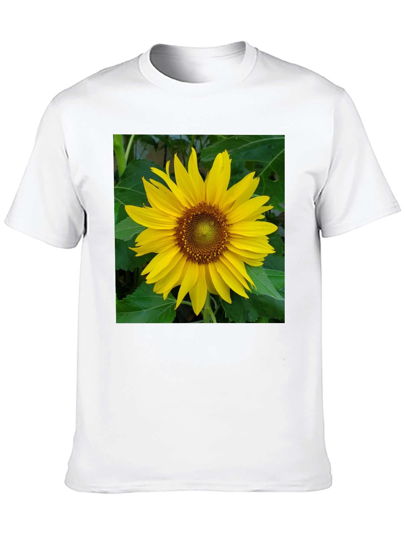 Sunflower Graphic Tee - Black Casual Shirt