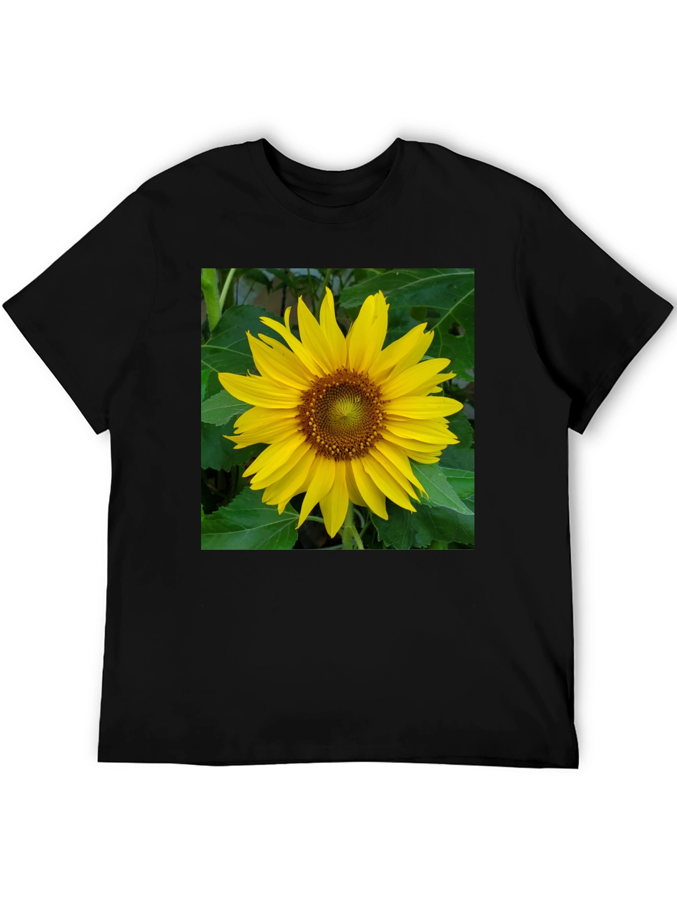 Sunflower Graphic Tee - Black Casual Shirt