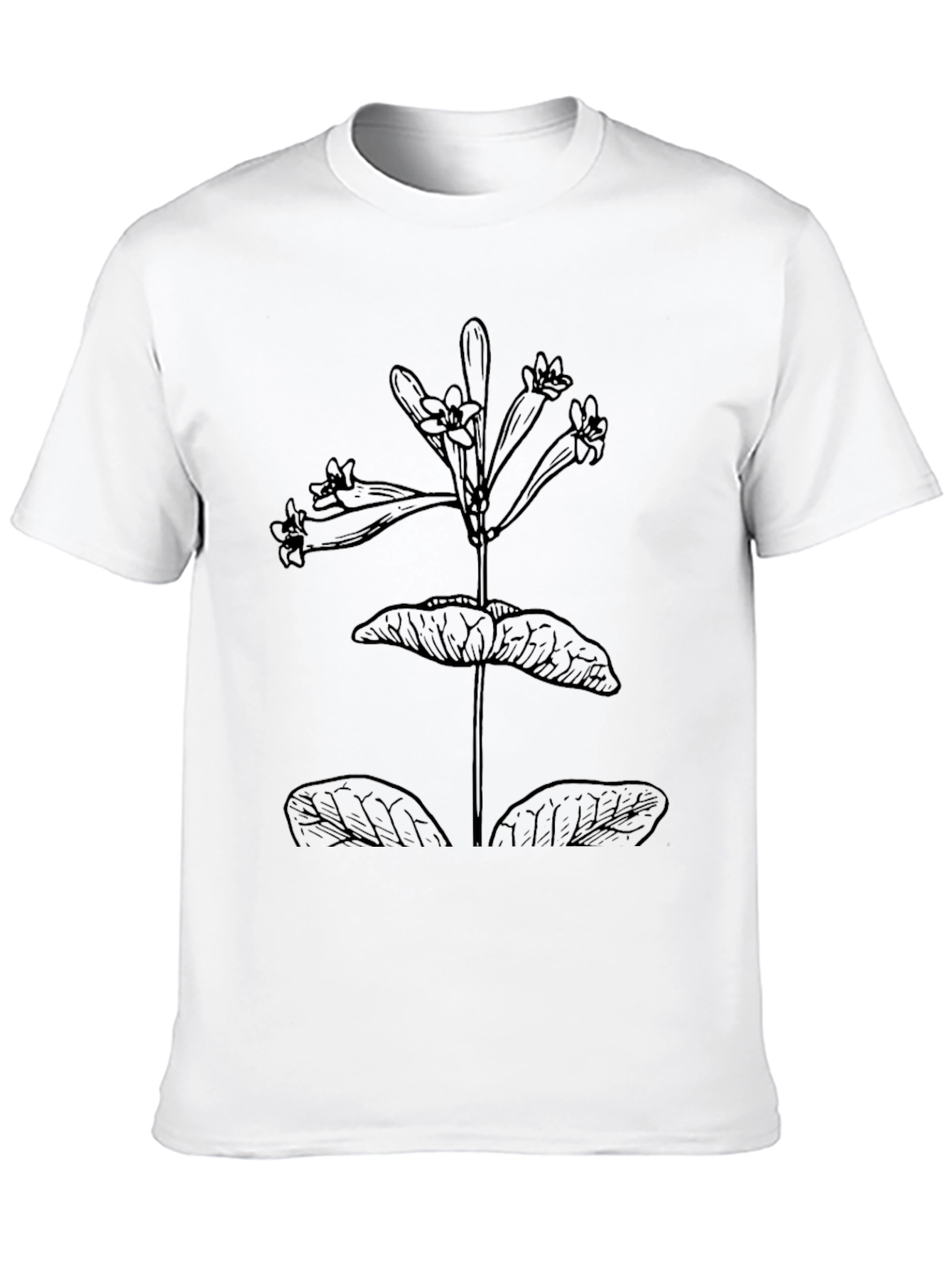 Botanical Line Art Black T-Shirt
