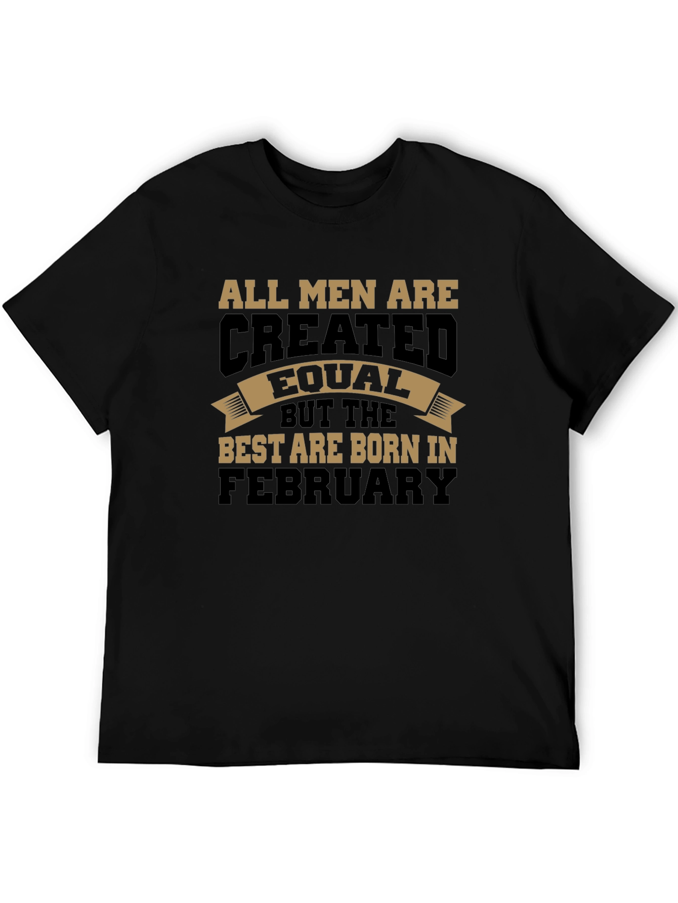 Born in February T-Shirt