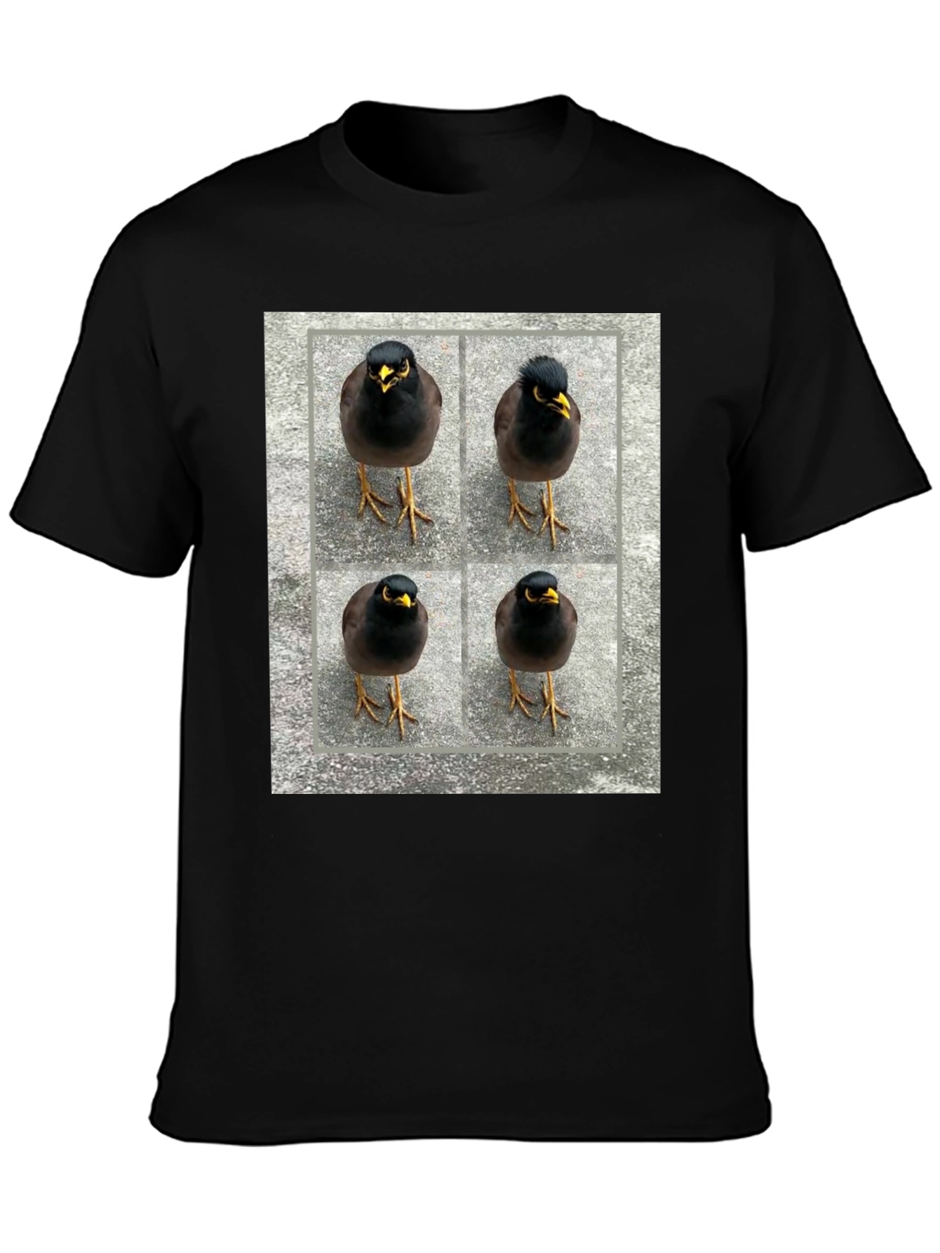 Myna Bird Grid T-Shirt - Unique Graphic Tee