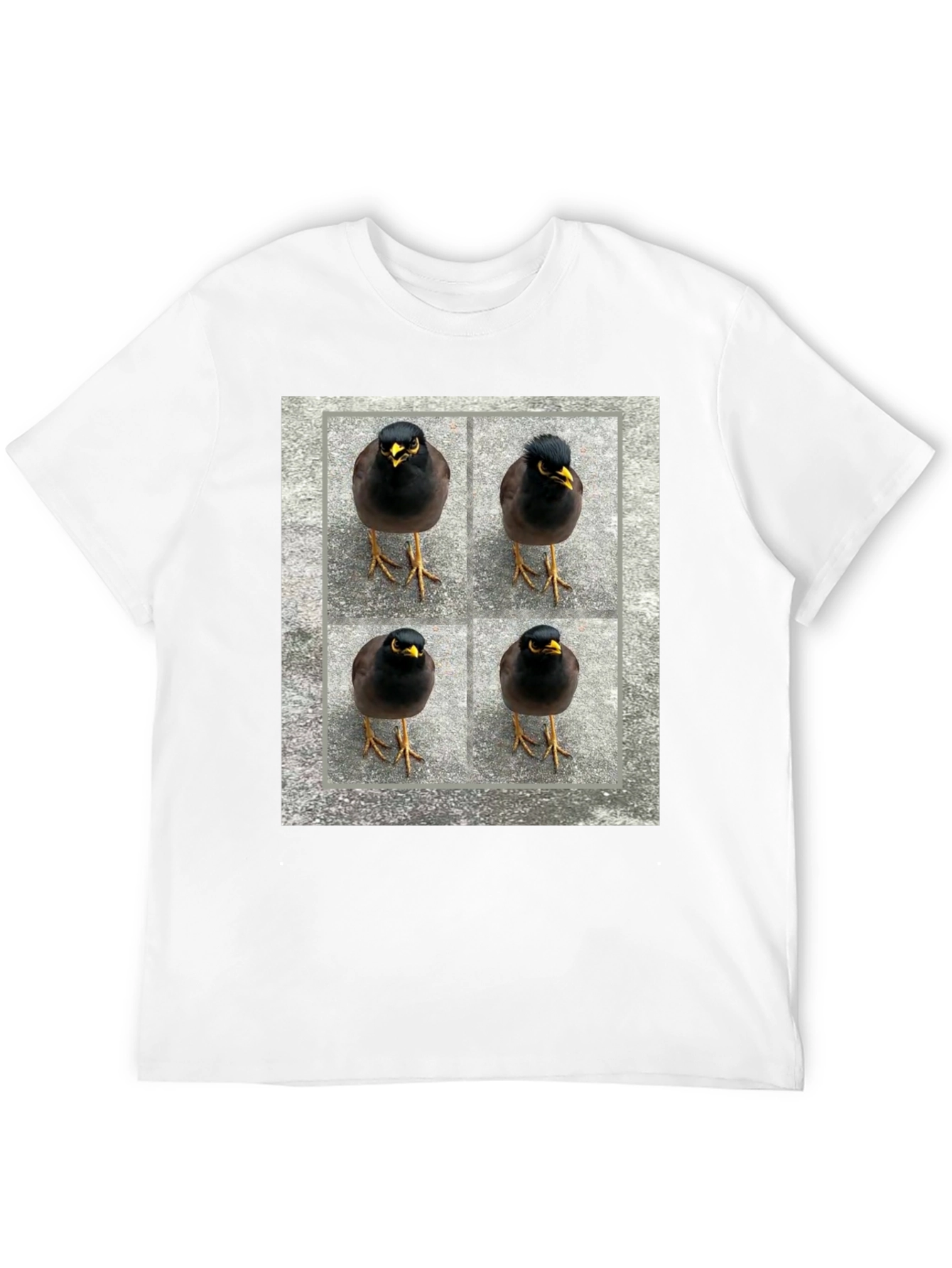 Myna Bird Grid T-Shirt - Unique Graphic Tee