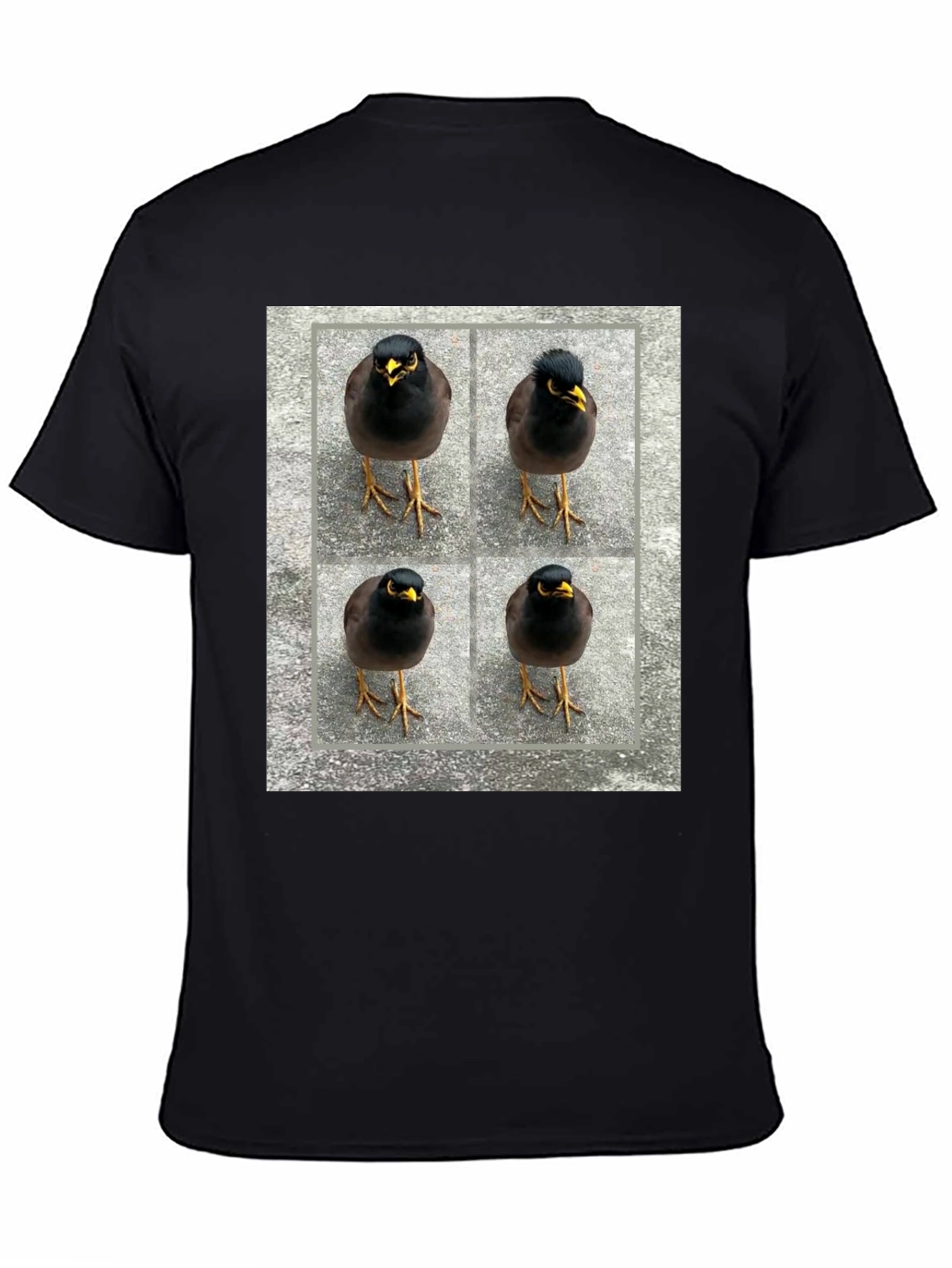 Myna Bird Grid T-Shirt - Unique Graphic Tee