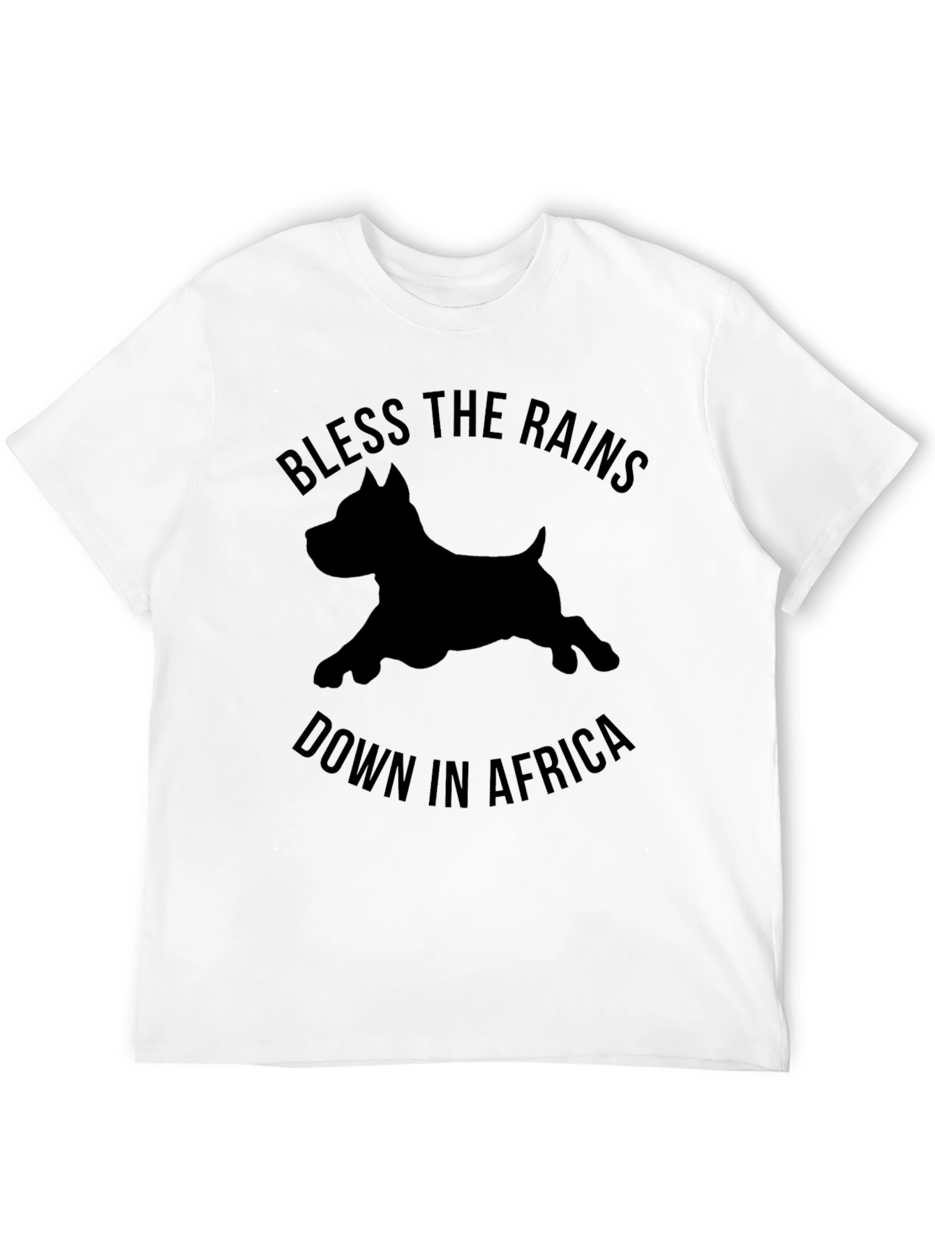 Bless The Rains Down In Africa T-Shirt