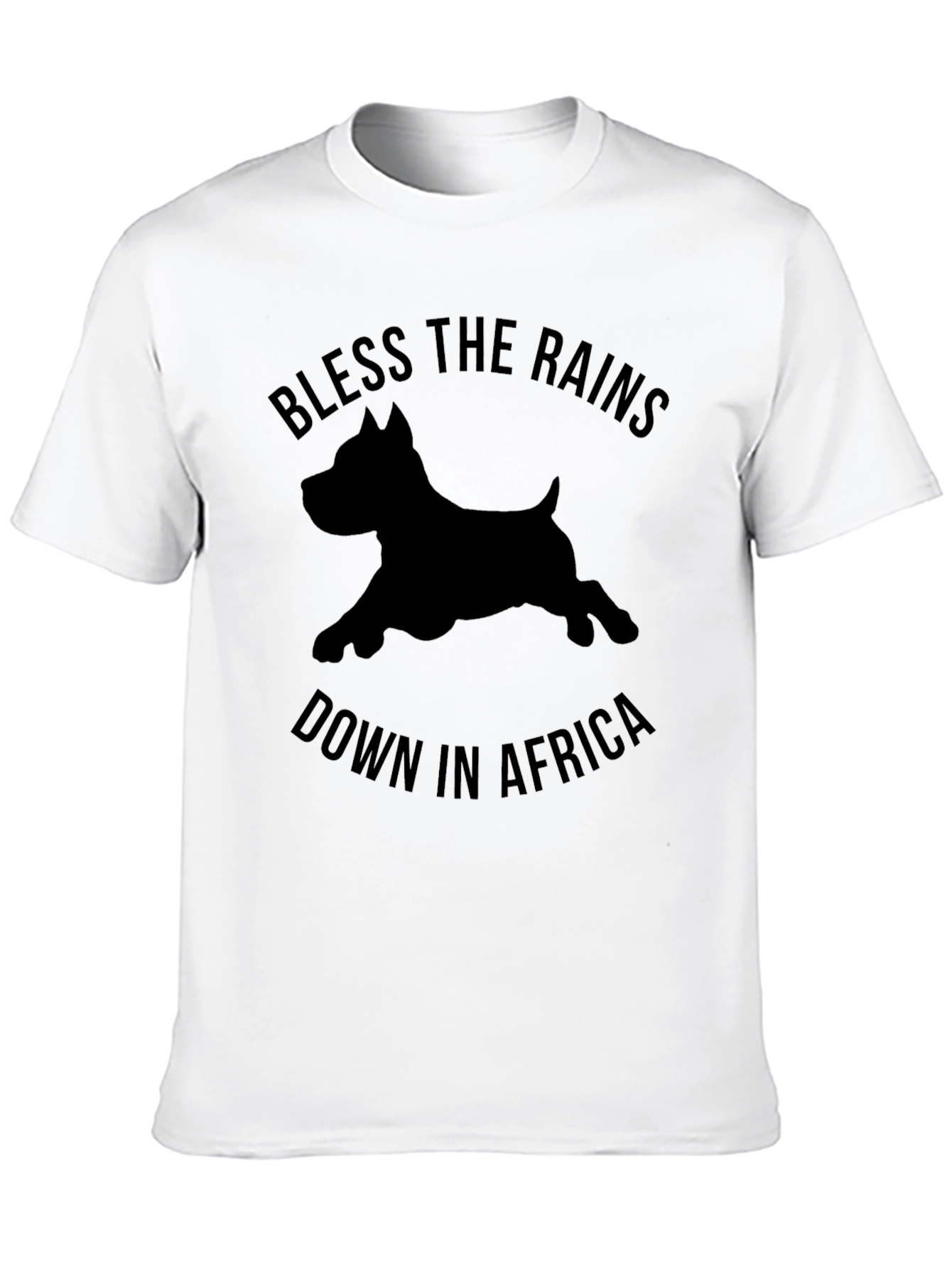 Bless The Rains Down In Africa T-Shirt