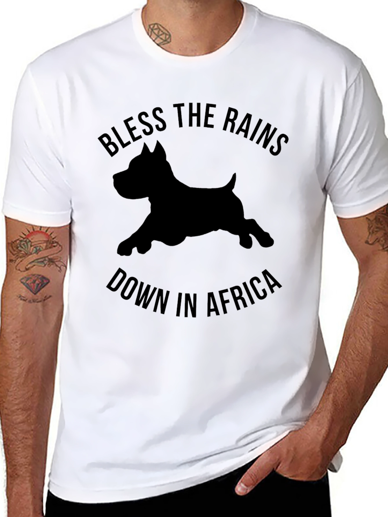 Bless The Rains Down In Africa T-Shirt