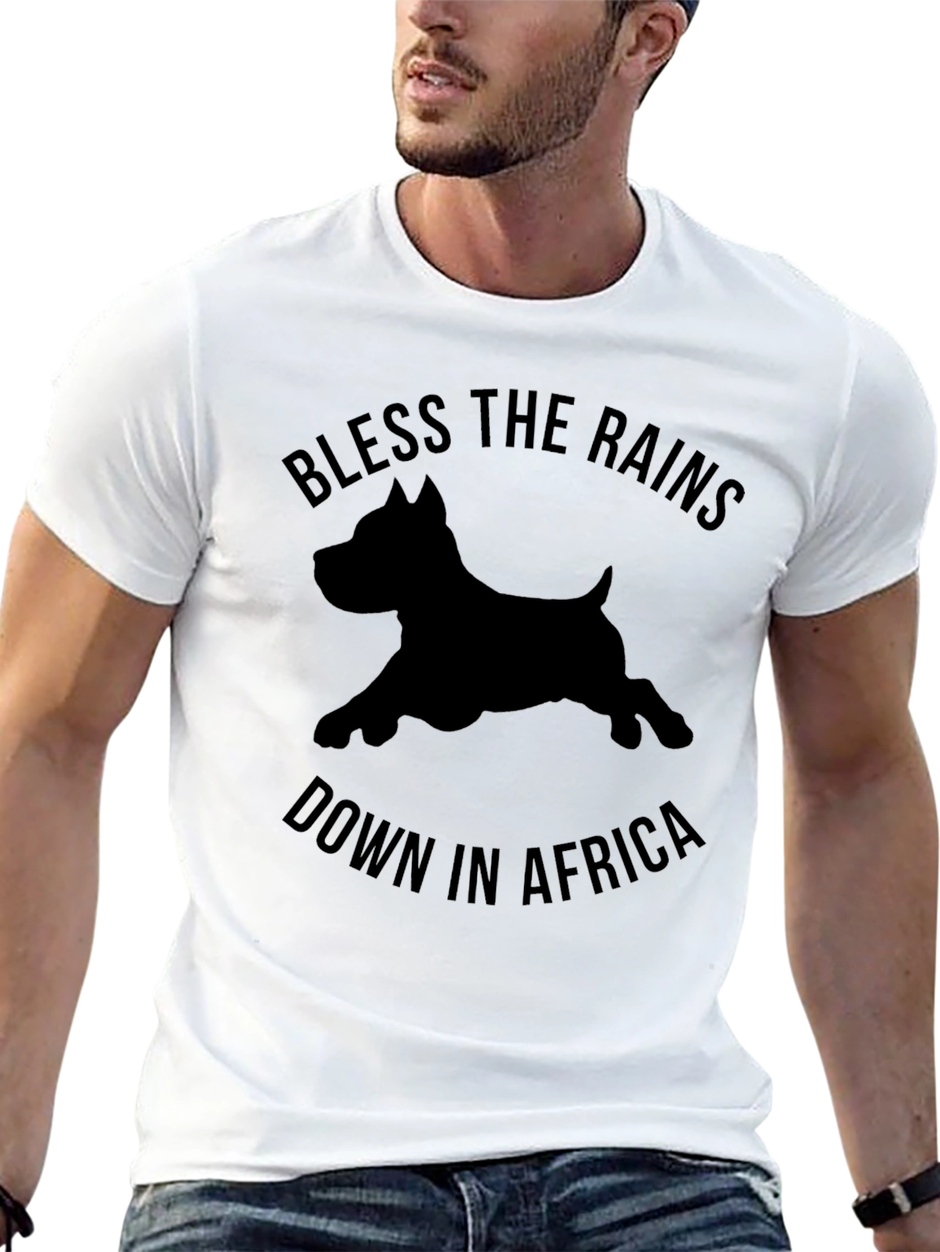 Bless The Rains Down In Africa T-Shirt