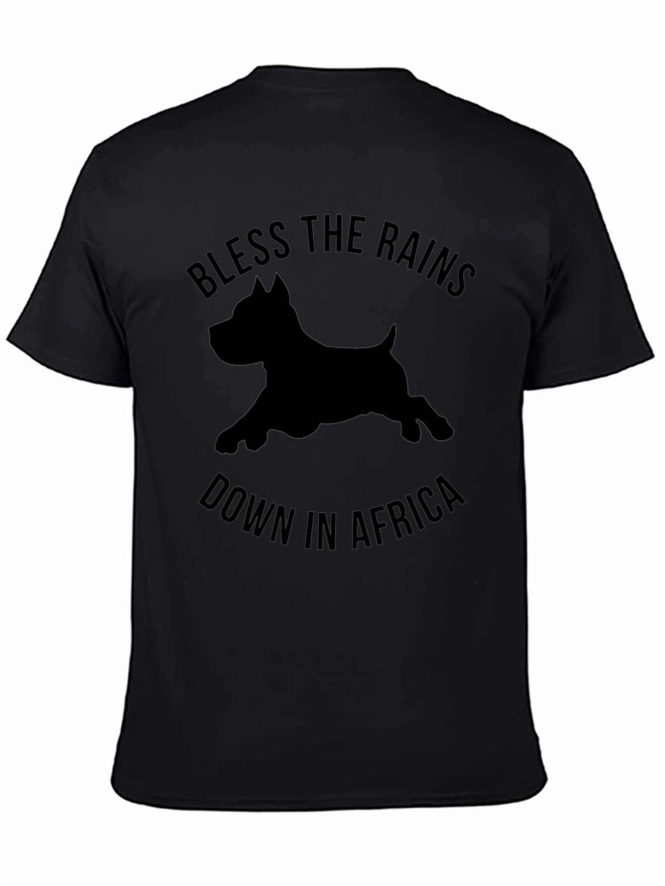 Bless The Rains Down In Africa T-Shirt