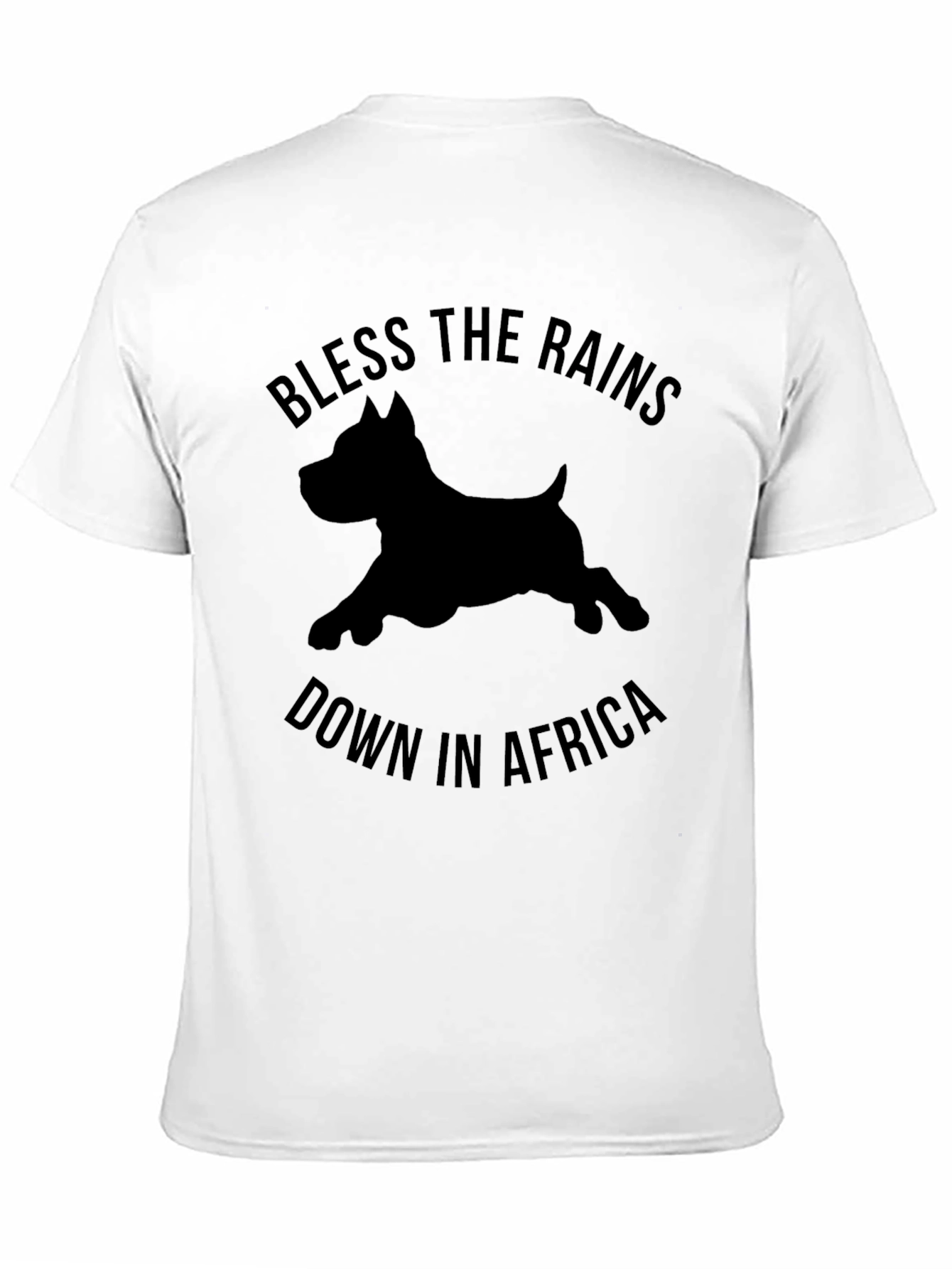 Bless The Rains Down In Africa T-Shirt