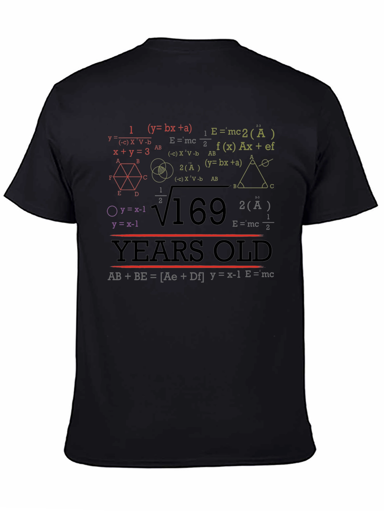 Math Equations 169 Years Old T-Shirt Funny Birthday Gift