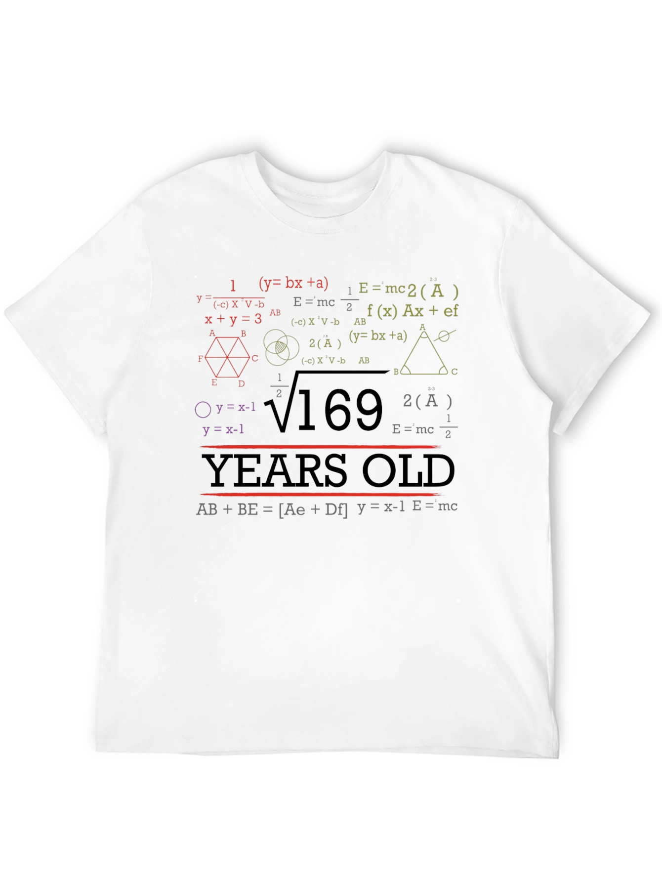 Math Equations 169 Years Old T-Shirt Funny Birthday Gift