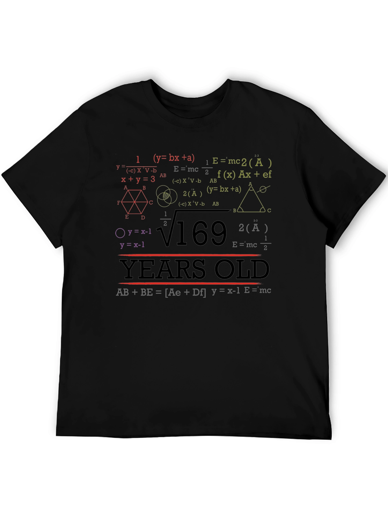 Math Equations 169 Years Old T-Shirt Funny Birthday Gift