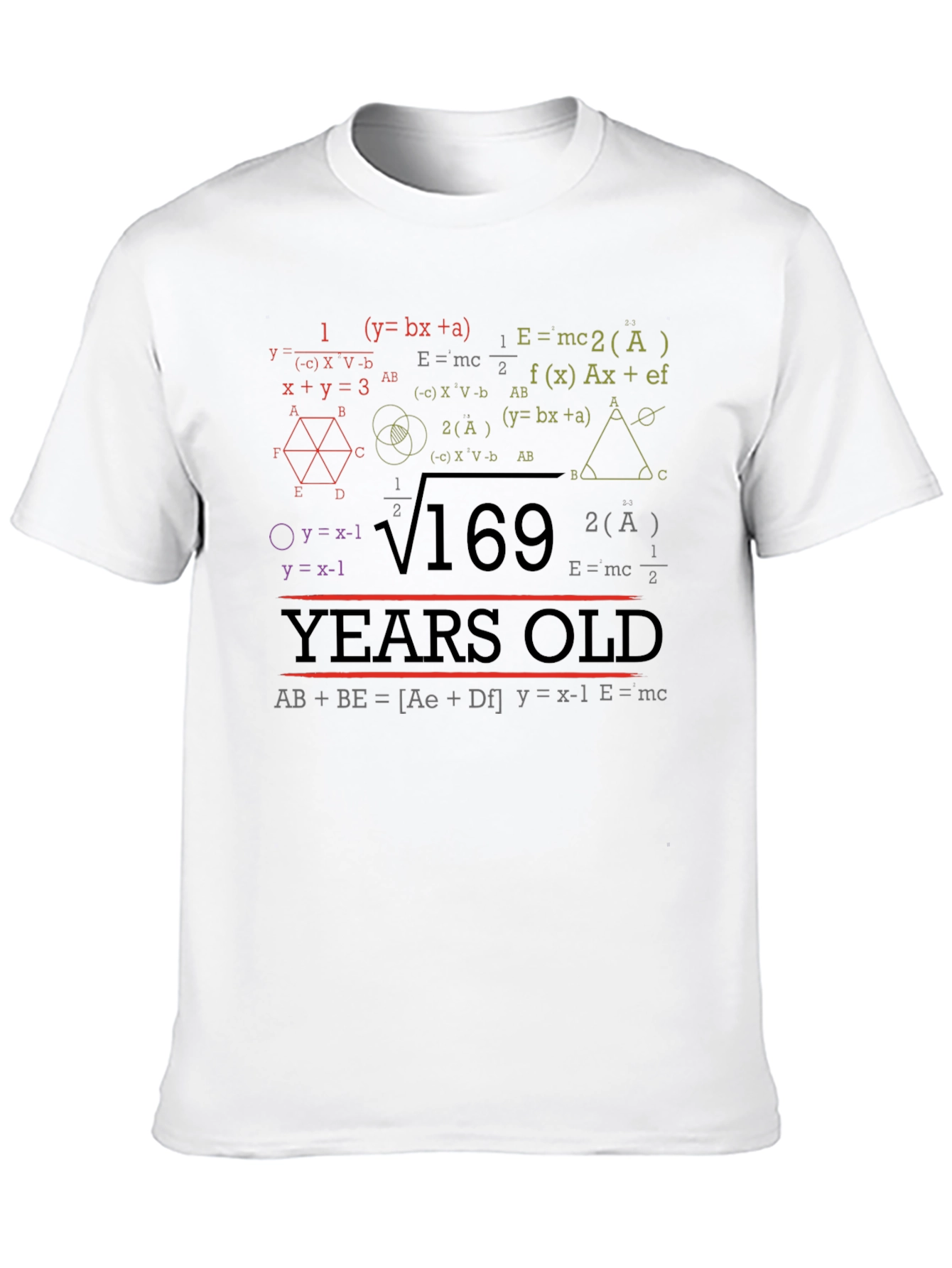 Math Equations 169 Years Old T-Shirt Funny Birthday Gift