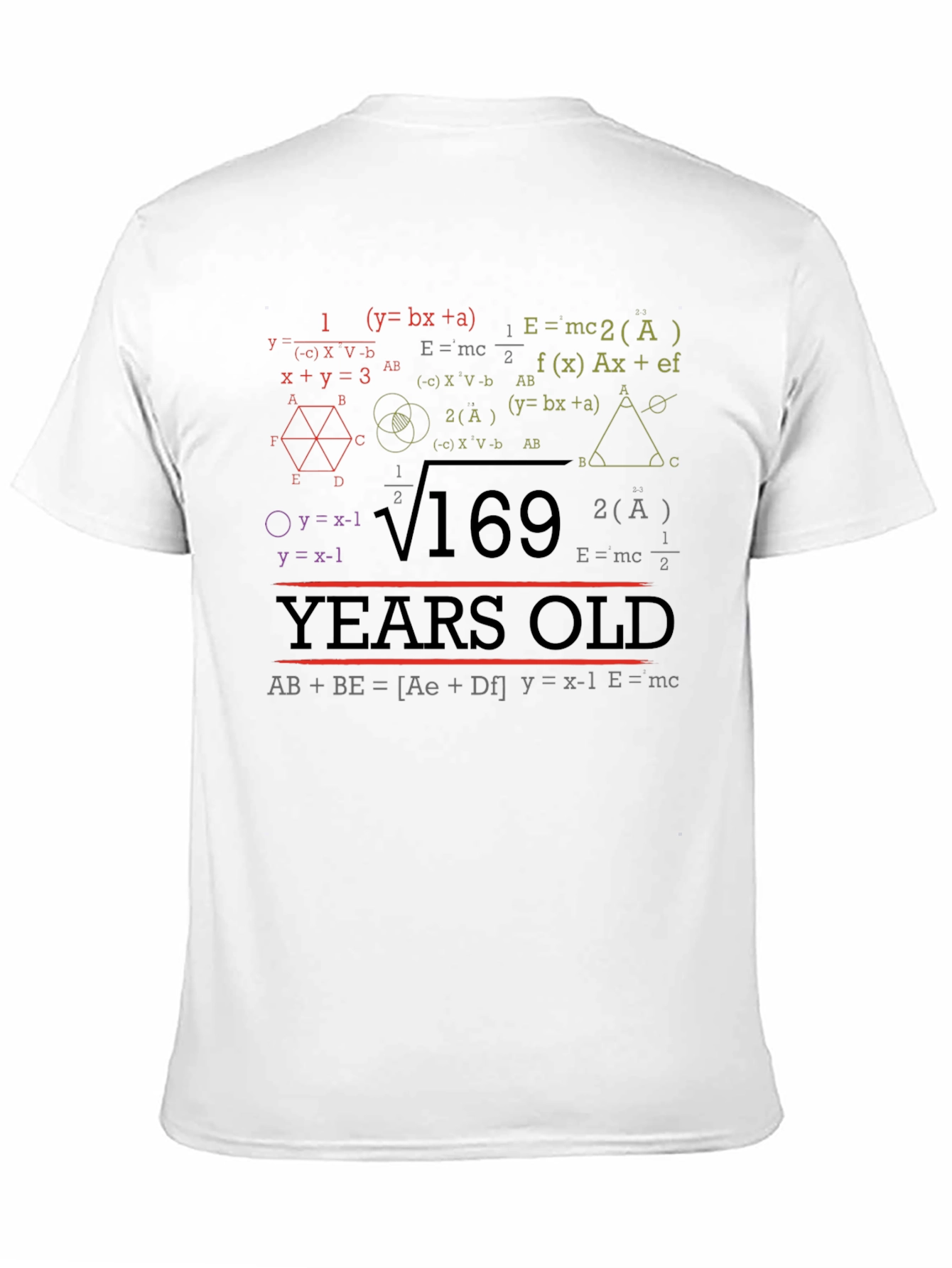 Math Equations 169 Years Old T-Shirt Funny Birthday Gift