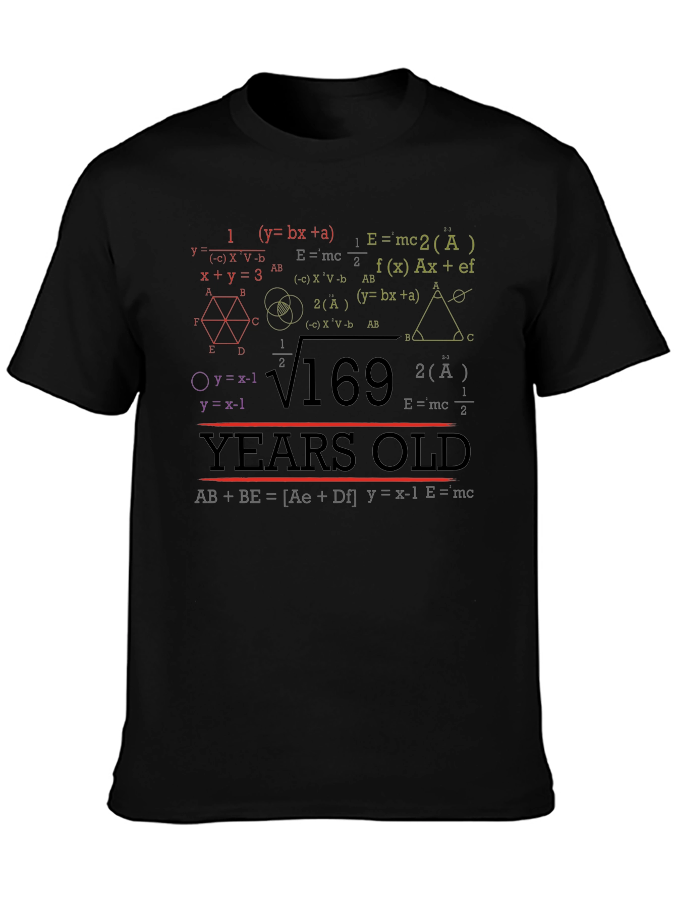 Math Equations 169 Years Old T-Shirt Funny Birthday Gift