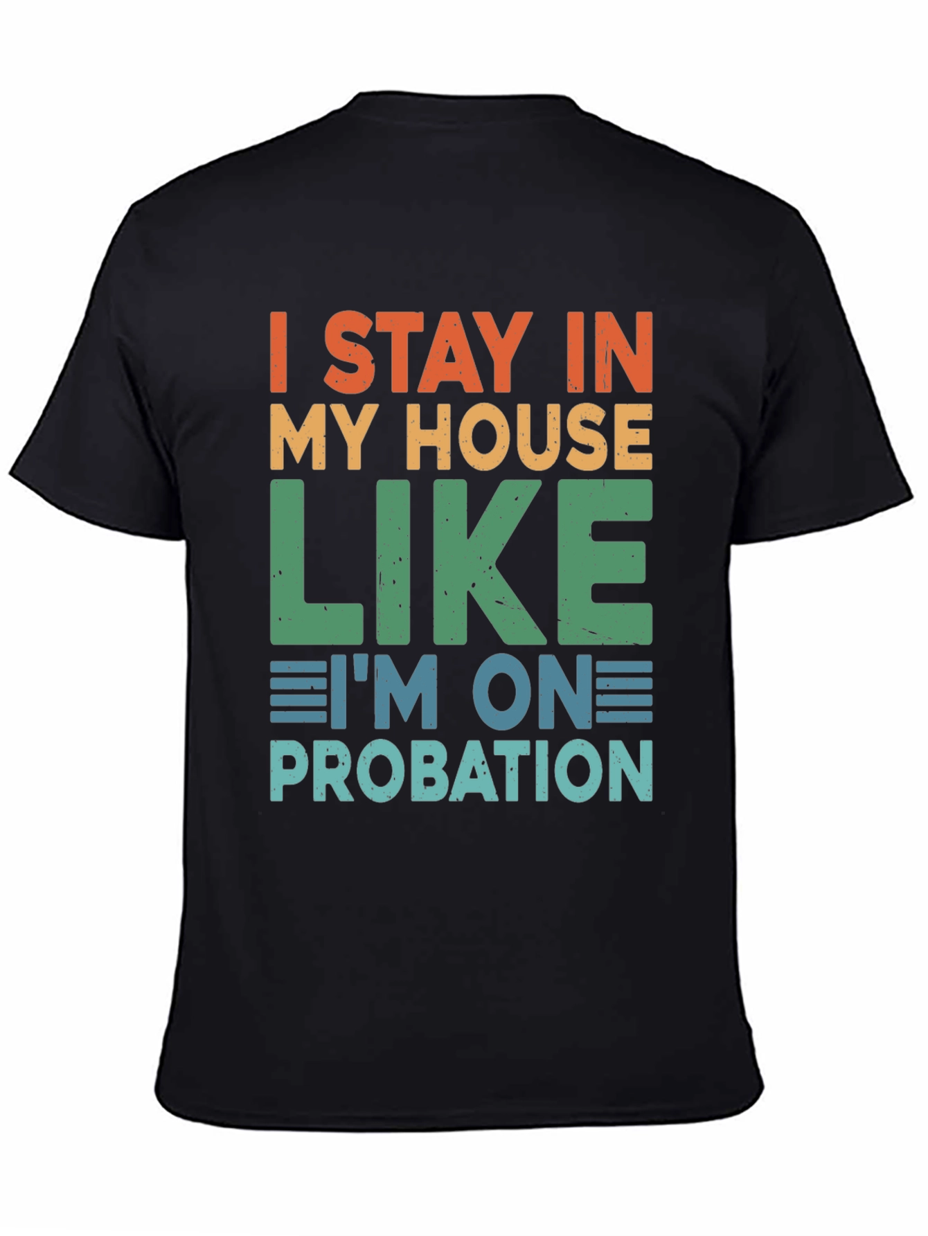 I Stay In My House Funny T-Shirt
