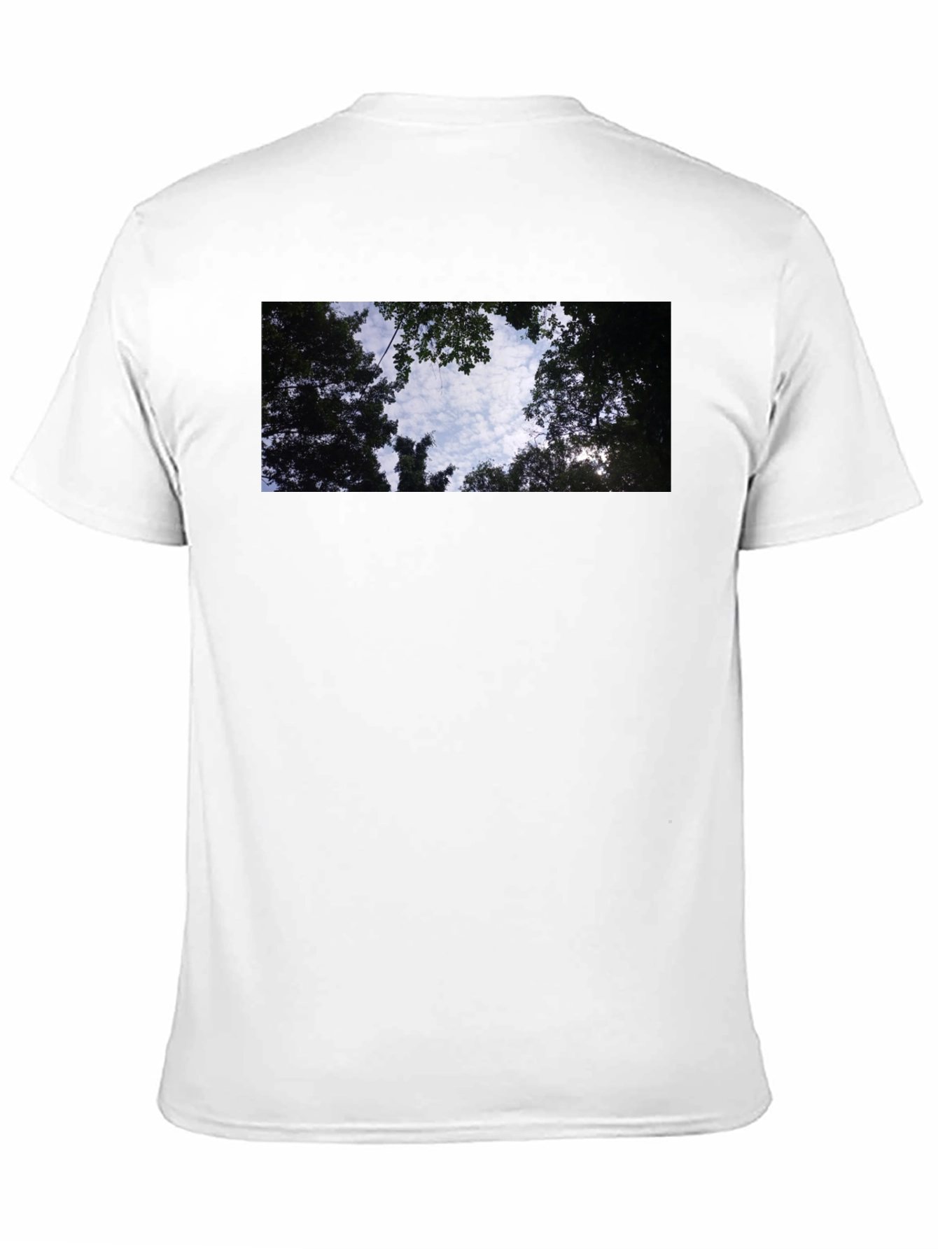 Sky Through Trees Graphic Tee