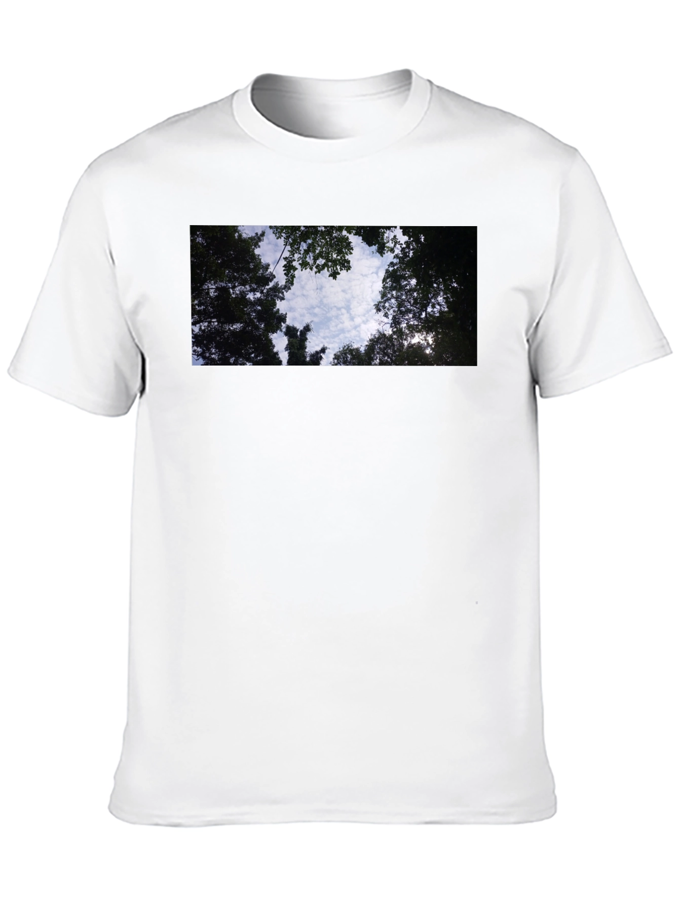 Sky Through Trees Graphic Tee