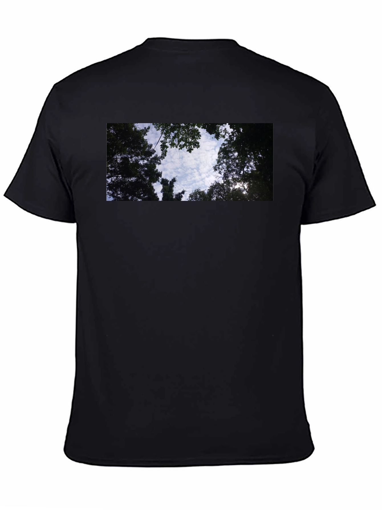 Sky Through Trees Graphic Tee