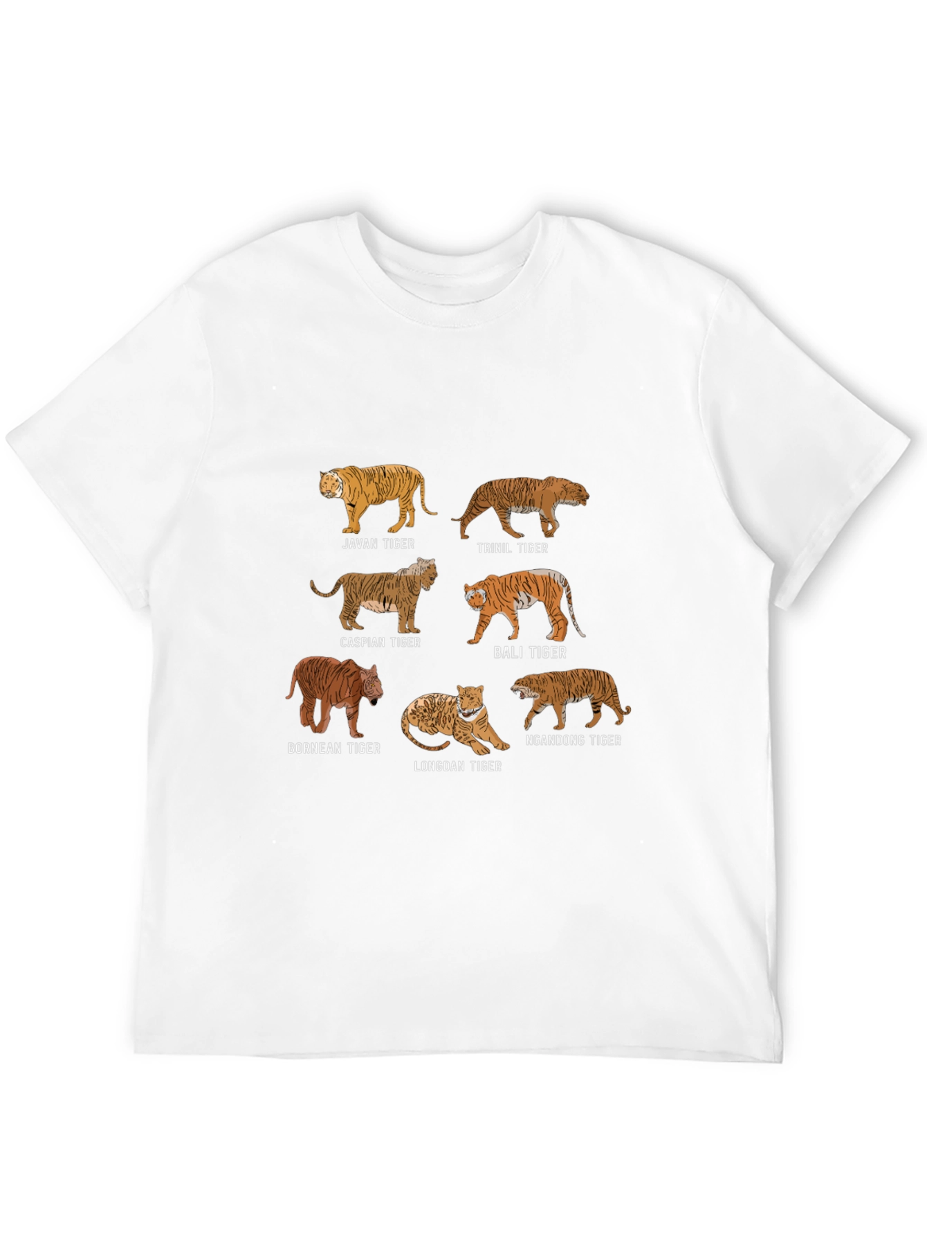 Tiger Species Graphic T-Shirt