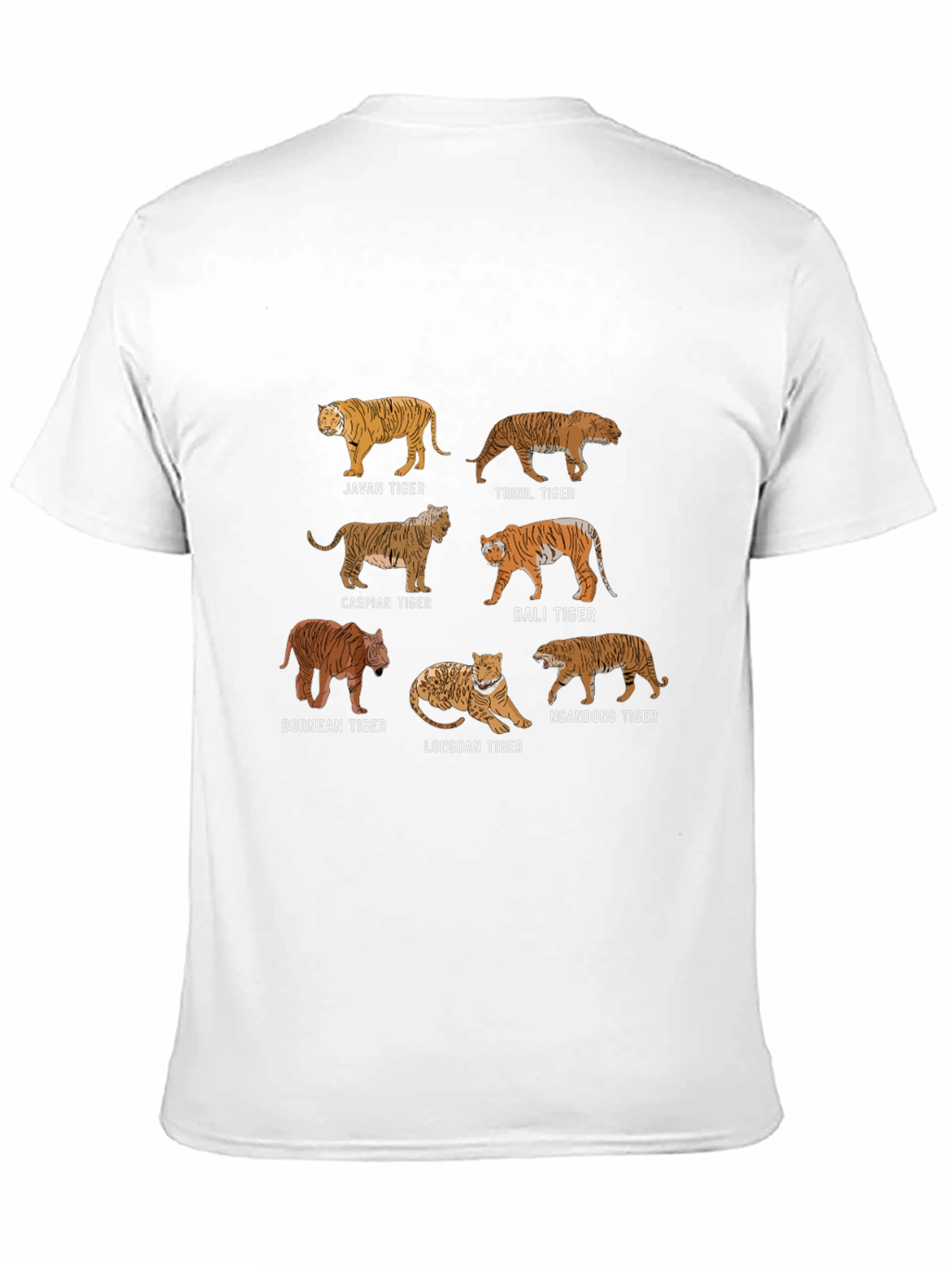 Tiger Species Graphic T-Shirt