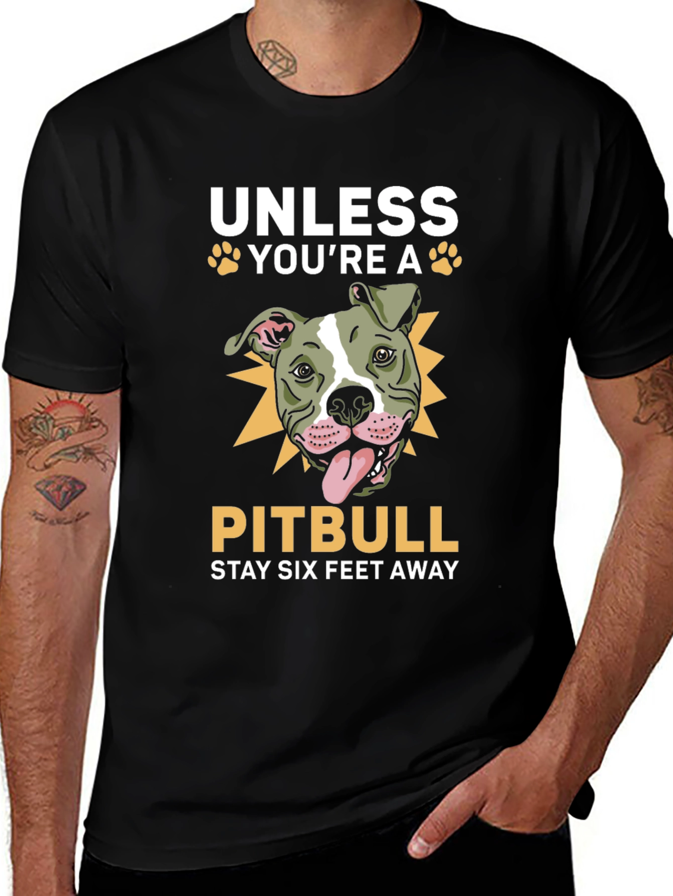 Pitbull Stay Away T-Shirt Funny Dog Lover Tee