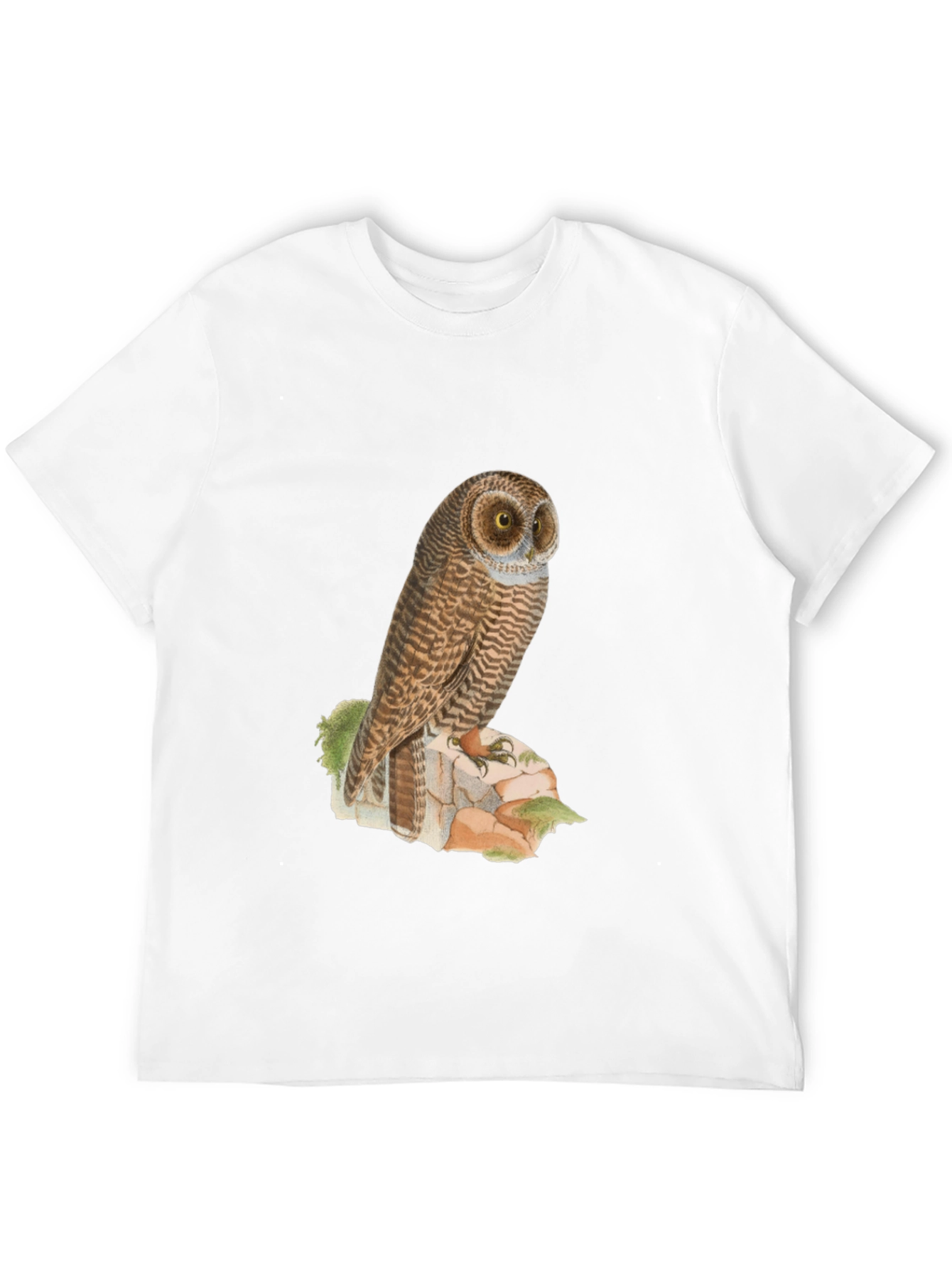 Owl Graphic Tee - Mens Black T-Shirt