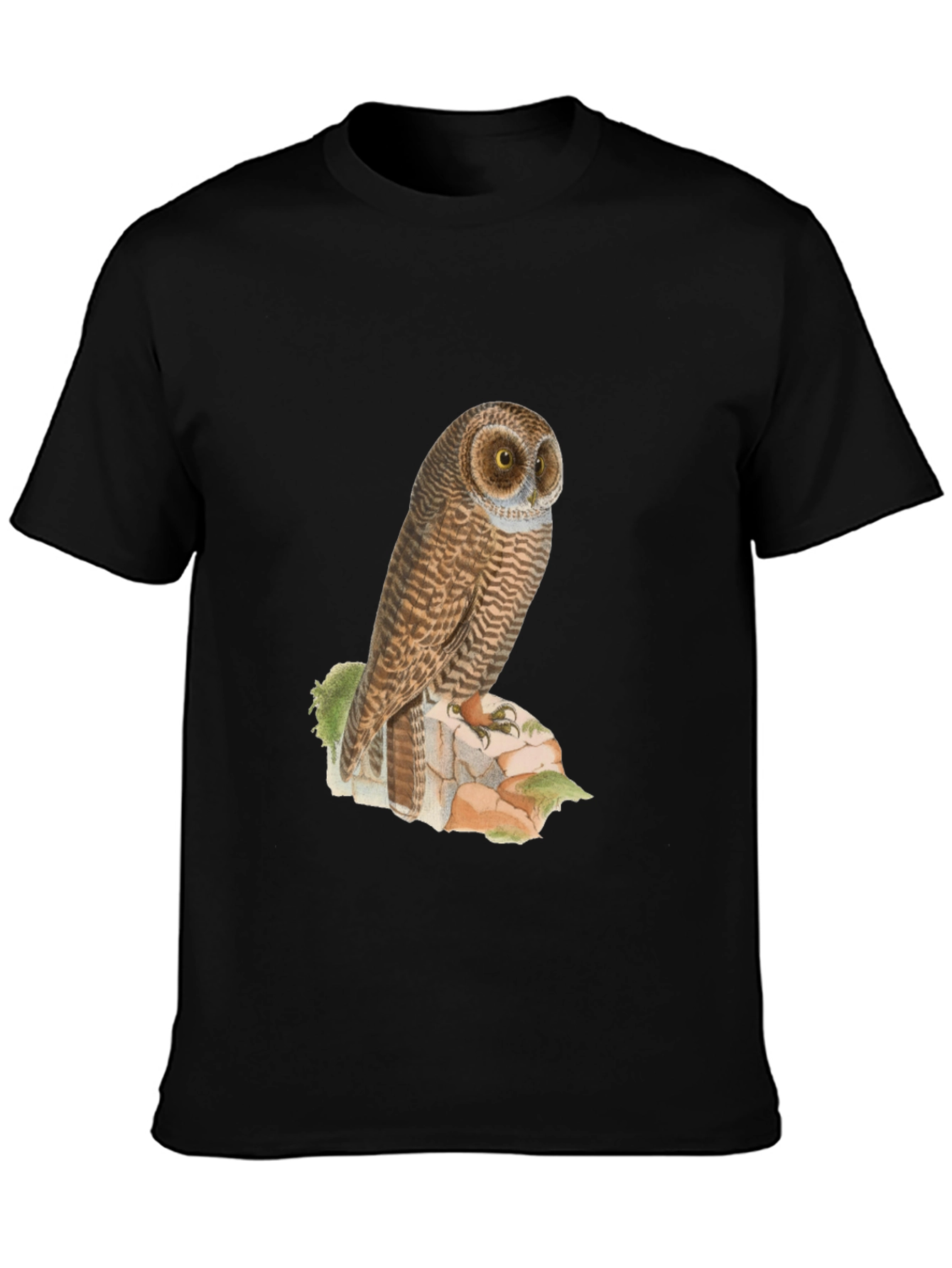 Owl Graphic Tee - Mens Black T-Shirt
