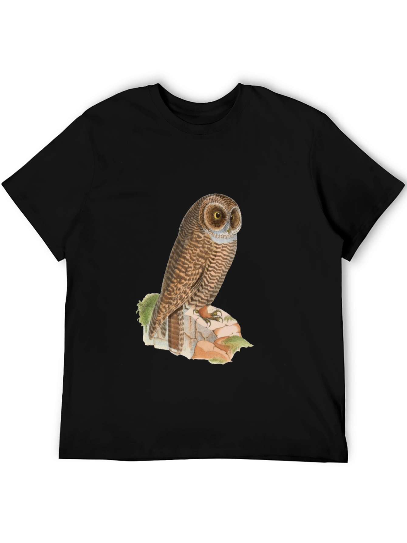 Owl Graphic Tee - Mens Black T-Shirt