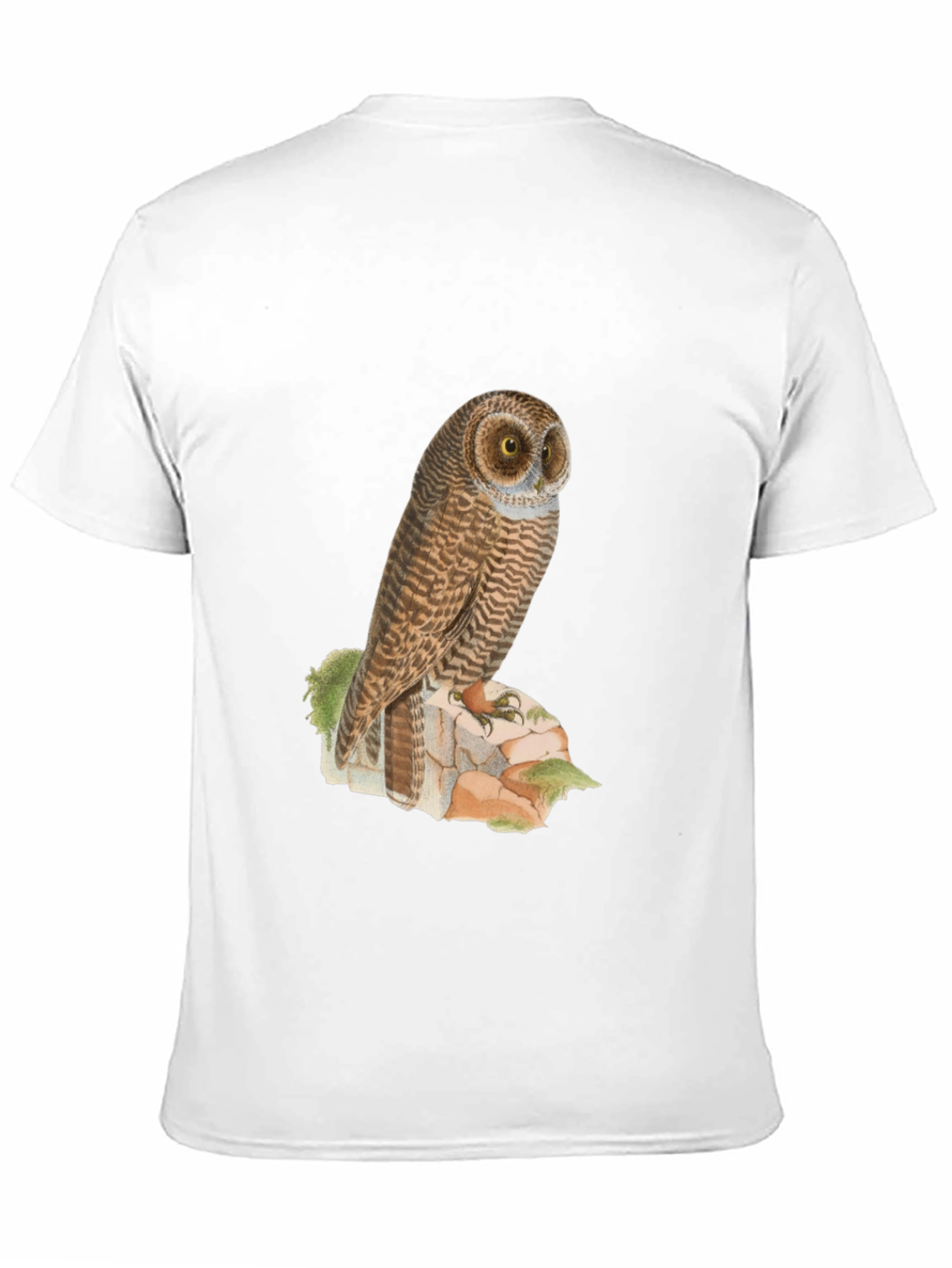 Owl Graphic Tee - Mens Black T-Shirt