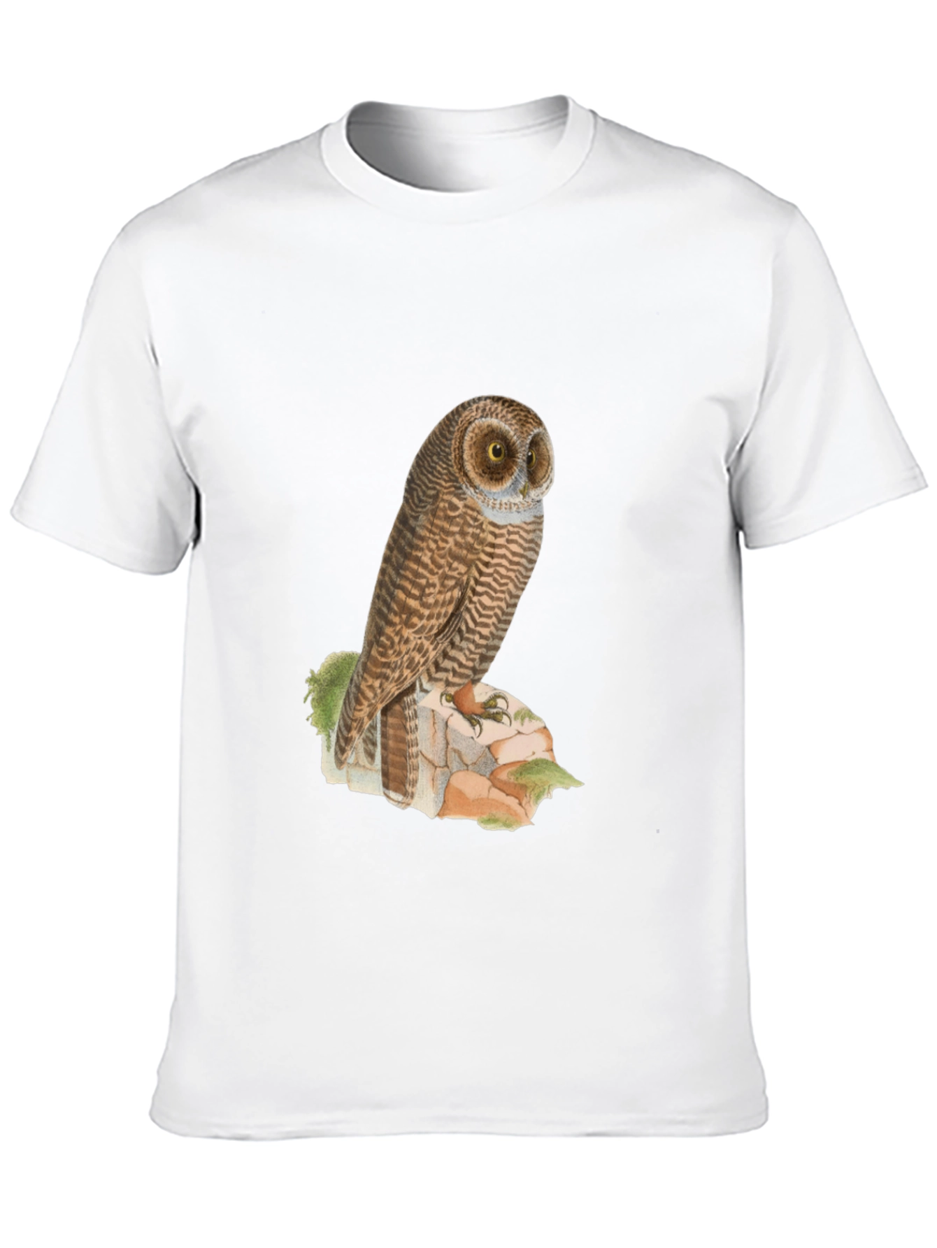 Owl Graphic Tee - Mens Black T-Shirt