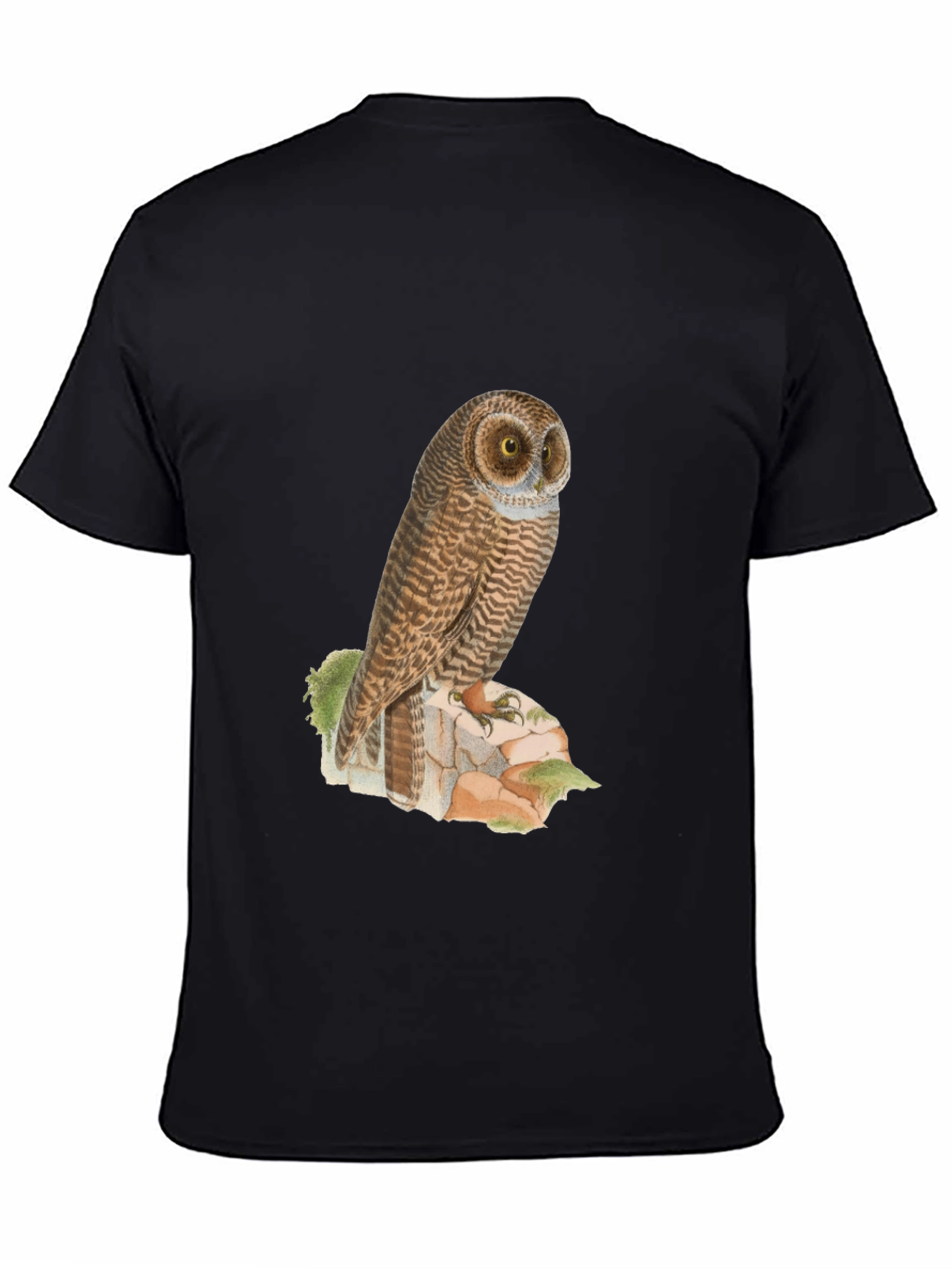 Owl Graphic Tee - Mens Black T-Shirt