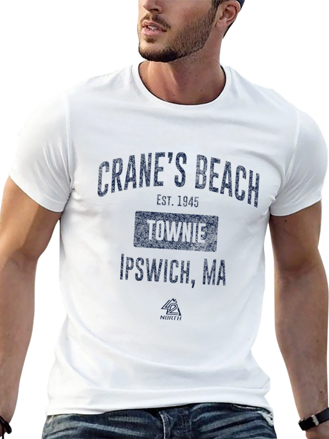 Cranes Beach Ipswich MA Graphic T-Shirt