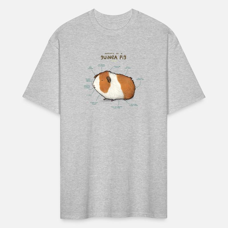 Anatomy of a Guinea Pig