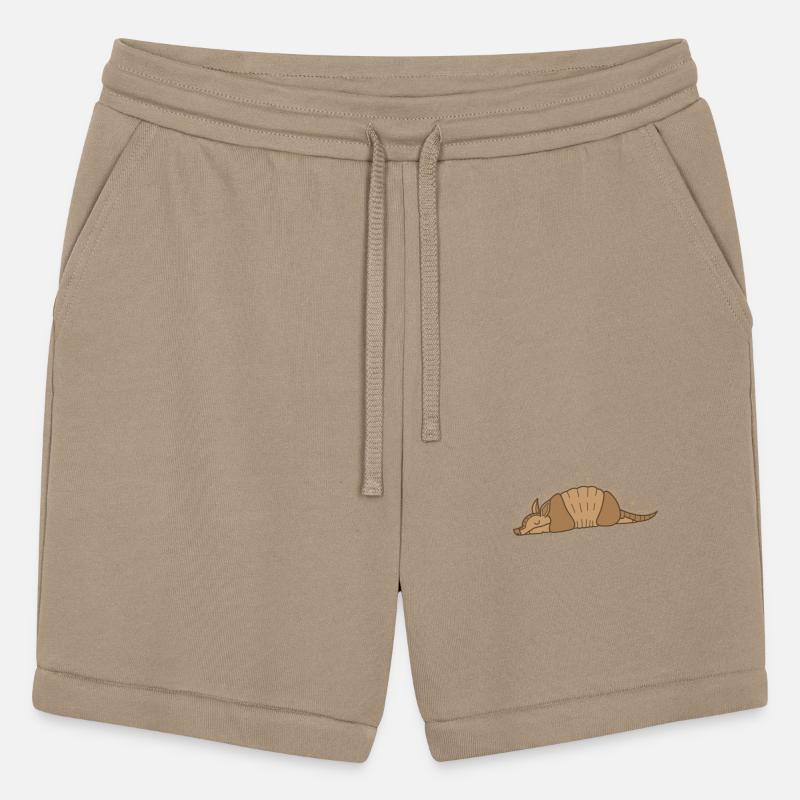 Armadillo Mammal Desert USA