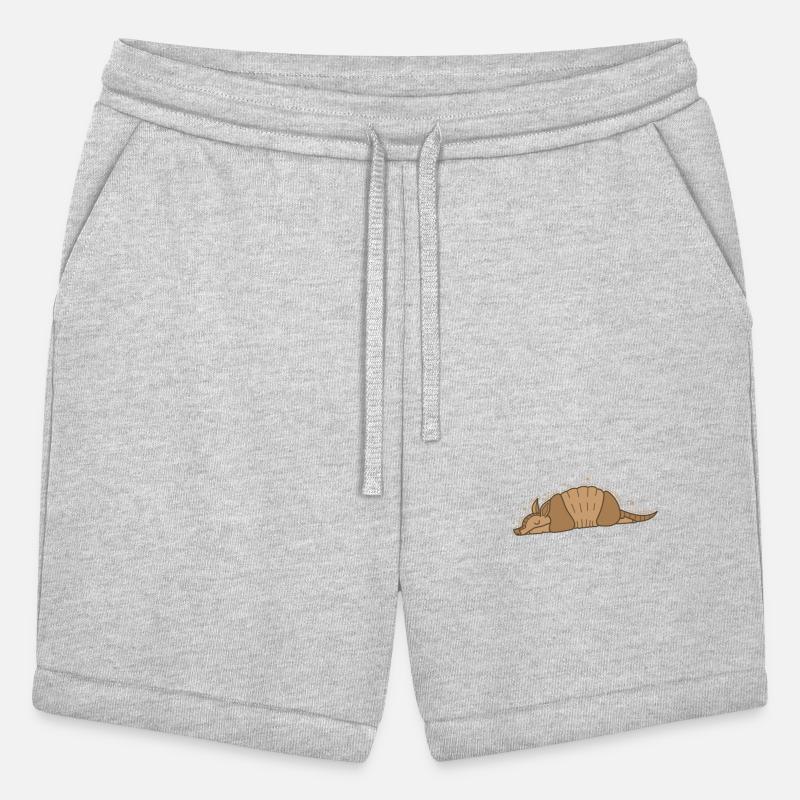 Armadillo Mammal Desert USA