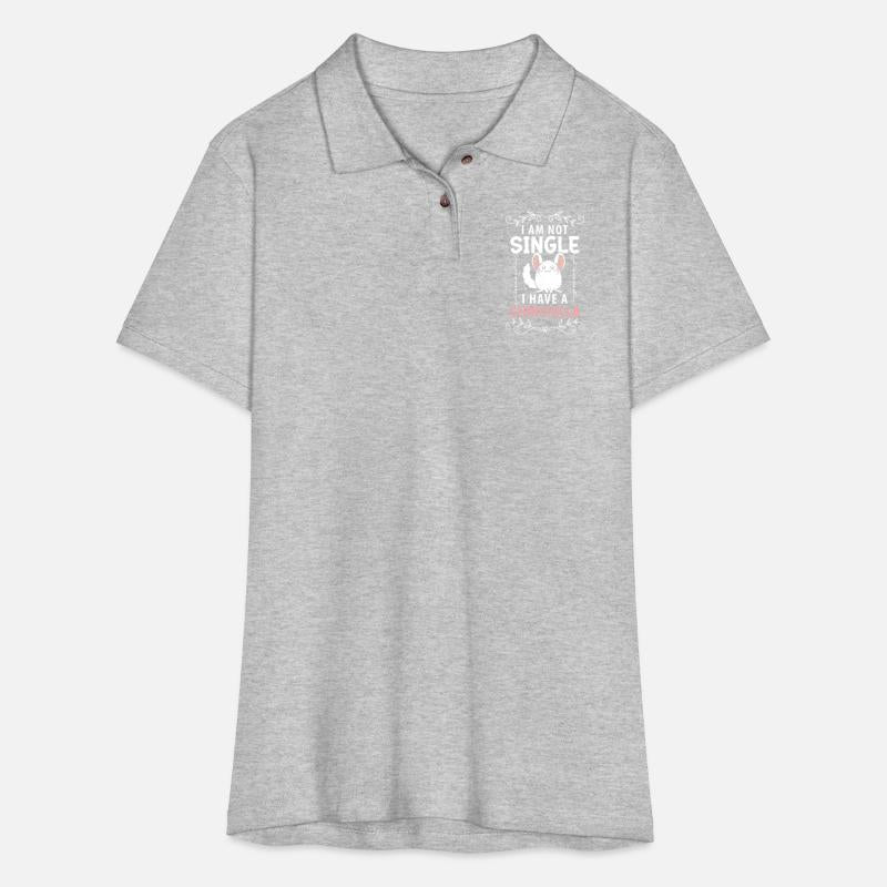 Chinchilla Rodents Nature