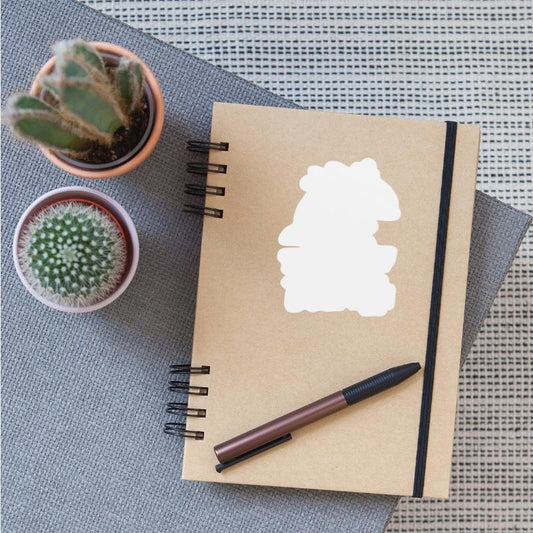 Dolphin dolphin school Mammal Sea Delfinarium